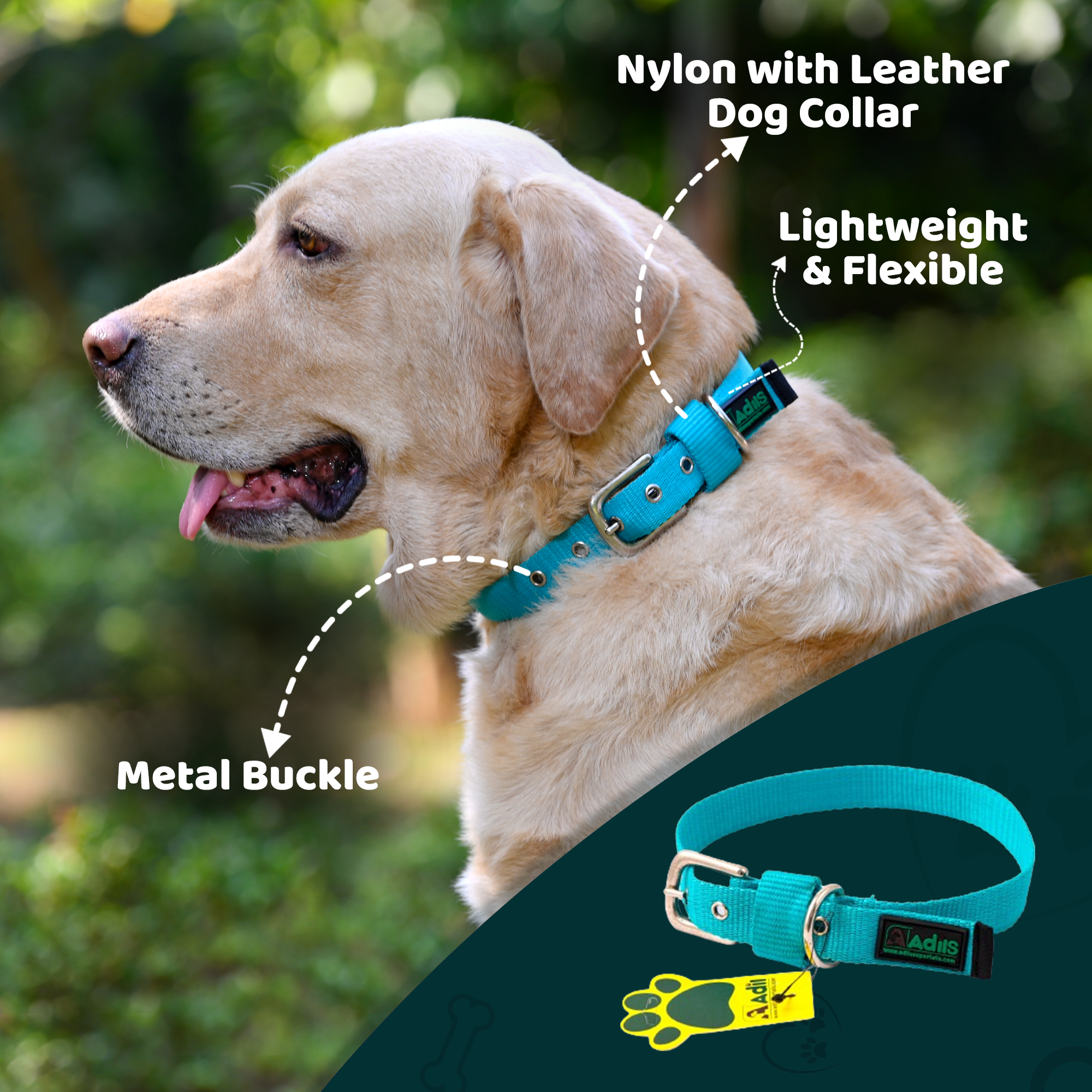 Adil's Nylon Dog Collar with Adjustable Metal Buckle – 1 Inch Wide
