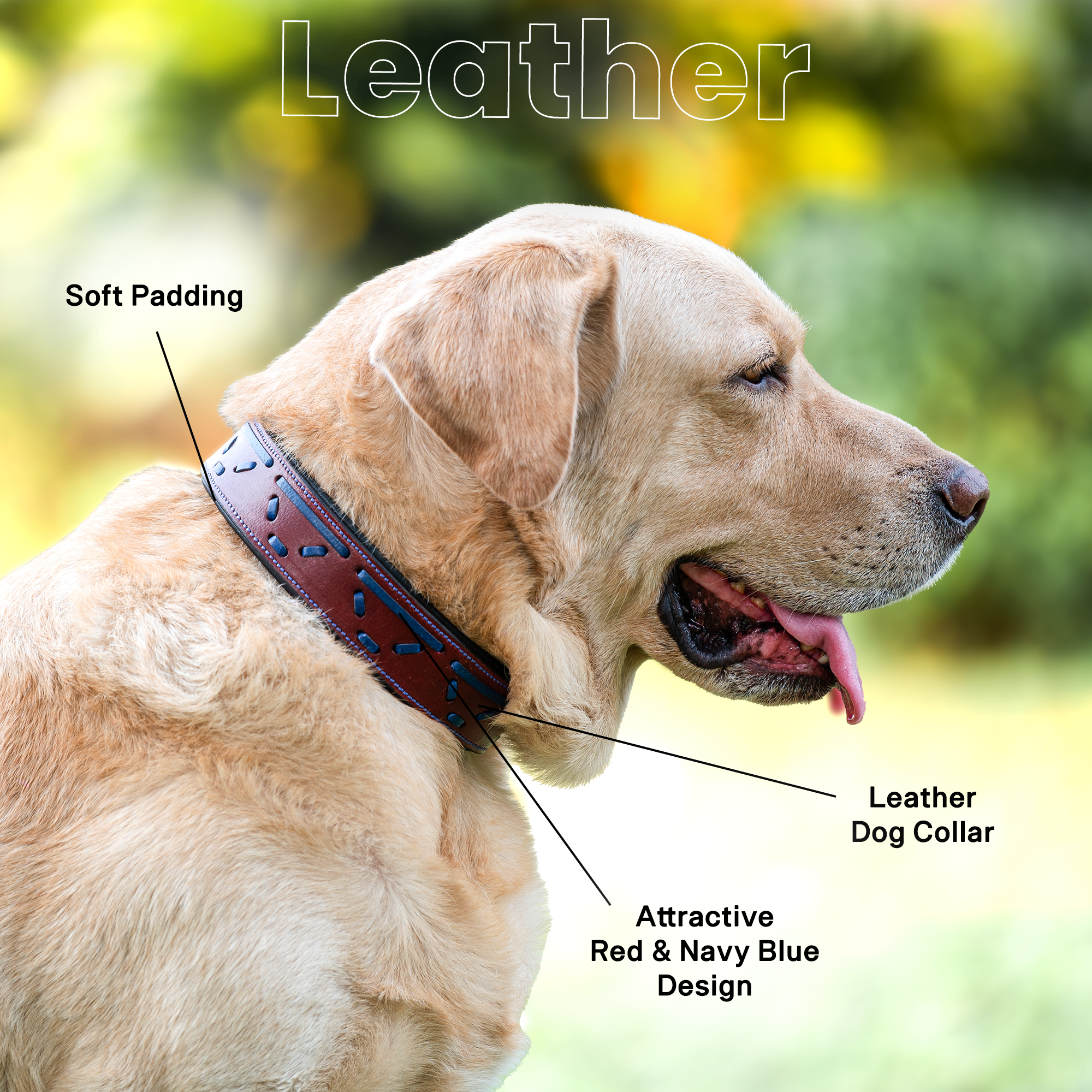 Adil's Leather Dog Collar with Metal Buckle & D-Ring - Red & Navy Blue Design