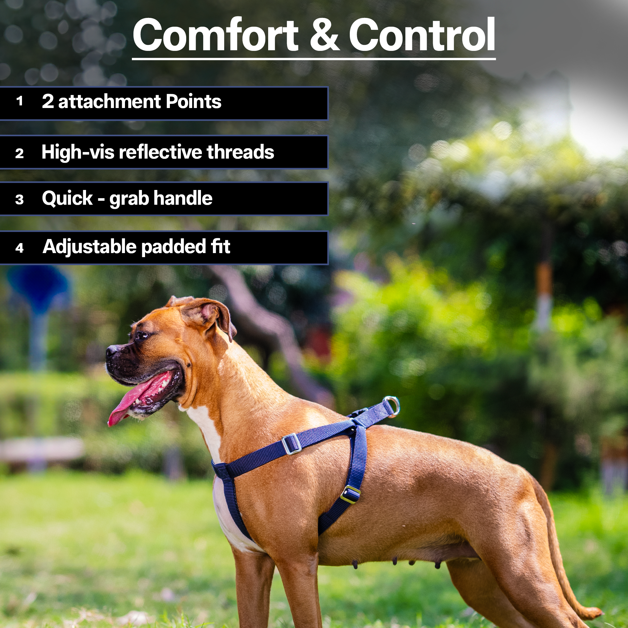 Adils H-shape harness for Walking Training Hiking & Outdoor Activities