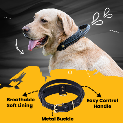 Handle Dog Collar, Adjustable Heavy Duty Leather Dog Collar with Strong Metal D-Ring