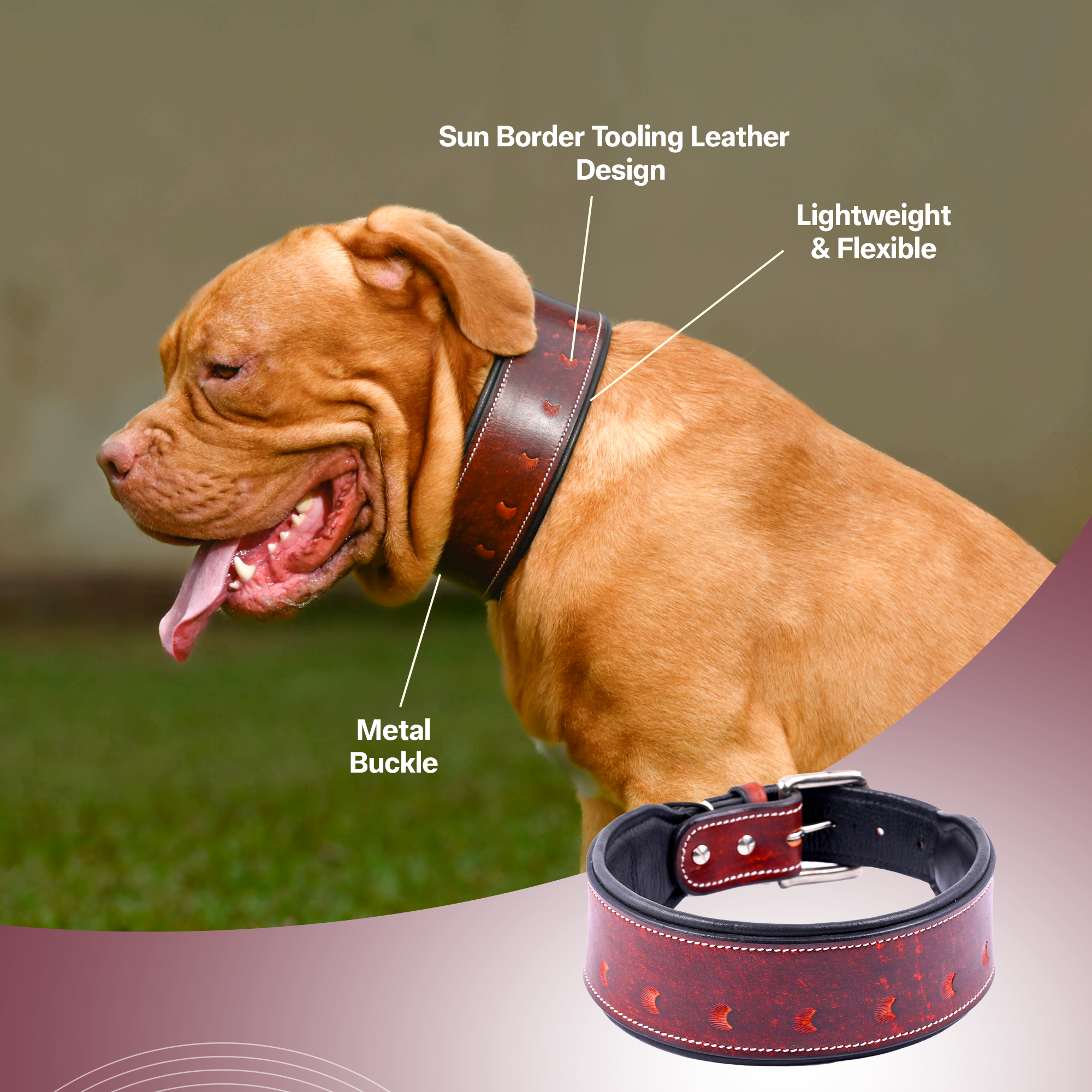 Handmade Leather Sun Border Tooling Dog Collar Heavy Duty with Adjustable Buckle