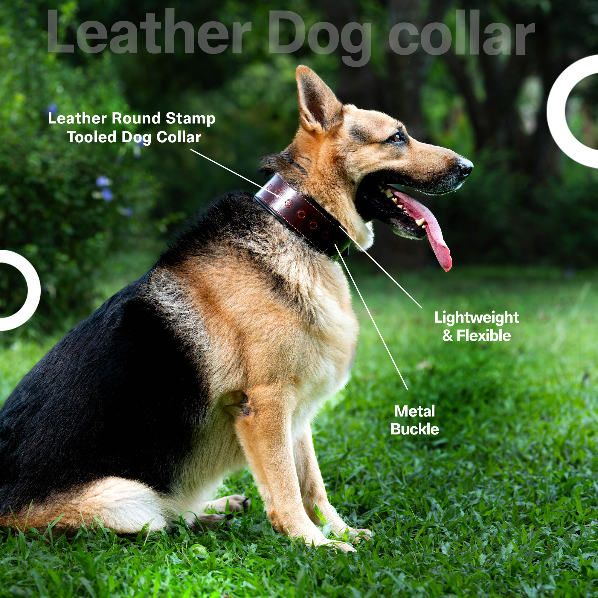 Handcrafted Leather Round Stamp Tooled Dog Collar | Made of Genuine Leather