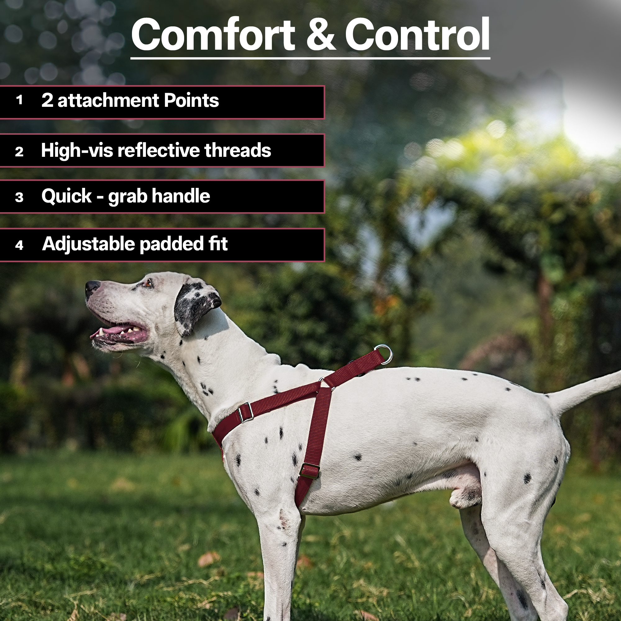 Adils H-shape harness for Walking Training Hiking & Outdoor Activities