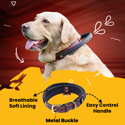 Handle Dog Collar, Adjustable Heavy Duty Leather Dog Collar with Strong Metal D-Ring