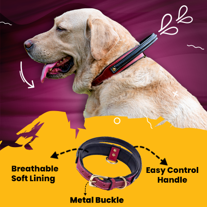 Handle Dog Collar, Adjustable Heavy Duty Leather Dog Collar with Strong Metal D-Ring