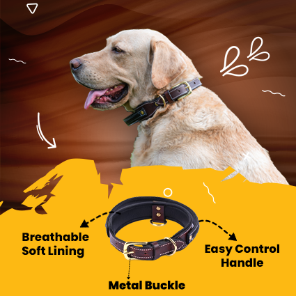 Handle Dog Collar, Adjustable Heavy Duty Leather Dog Collar with Strong Metal D-Ring