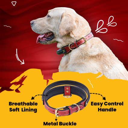 Handle Dog Collar, Adjustable Heavy Duty Leather Dog Collar with Strong Metal D-Ring