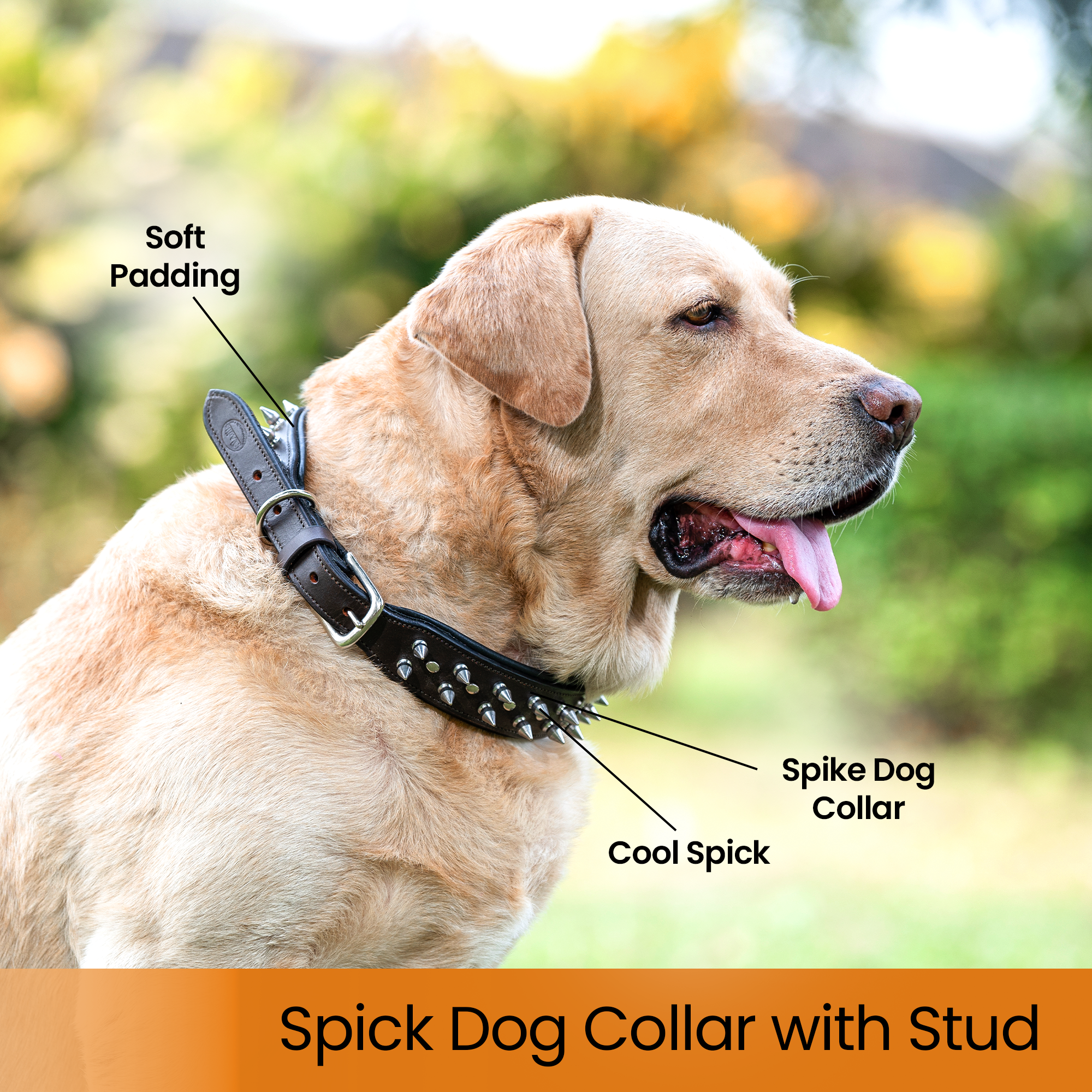 ADIL's Adjustable Spike Studded Dog Collars, Durable Leather Spike Pet Collars For Small Medium & Large Breeds, Strong Metal D-Right & Buckle 1.5 cm