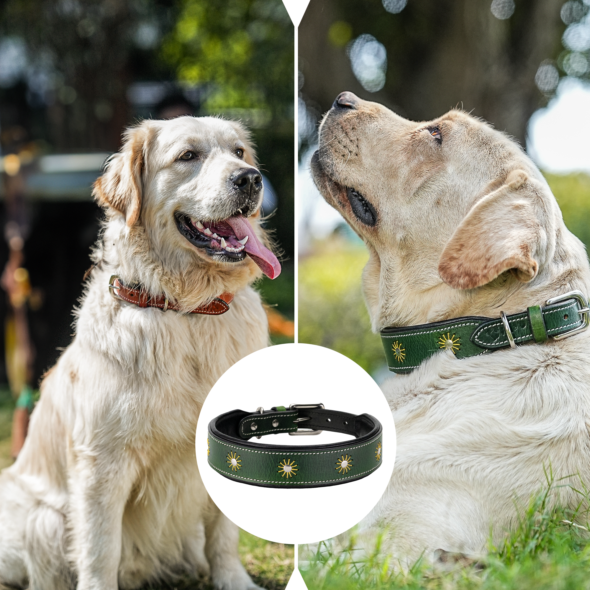 Adil’S Leather Dog Collar Thread Flower Design 1.5 width Adjustable Collars for Small Medium & Large Dogs, Made up Genuine Leather with Strong Metal Buckle