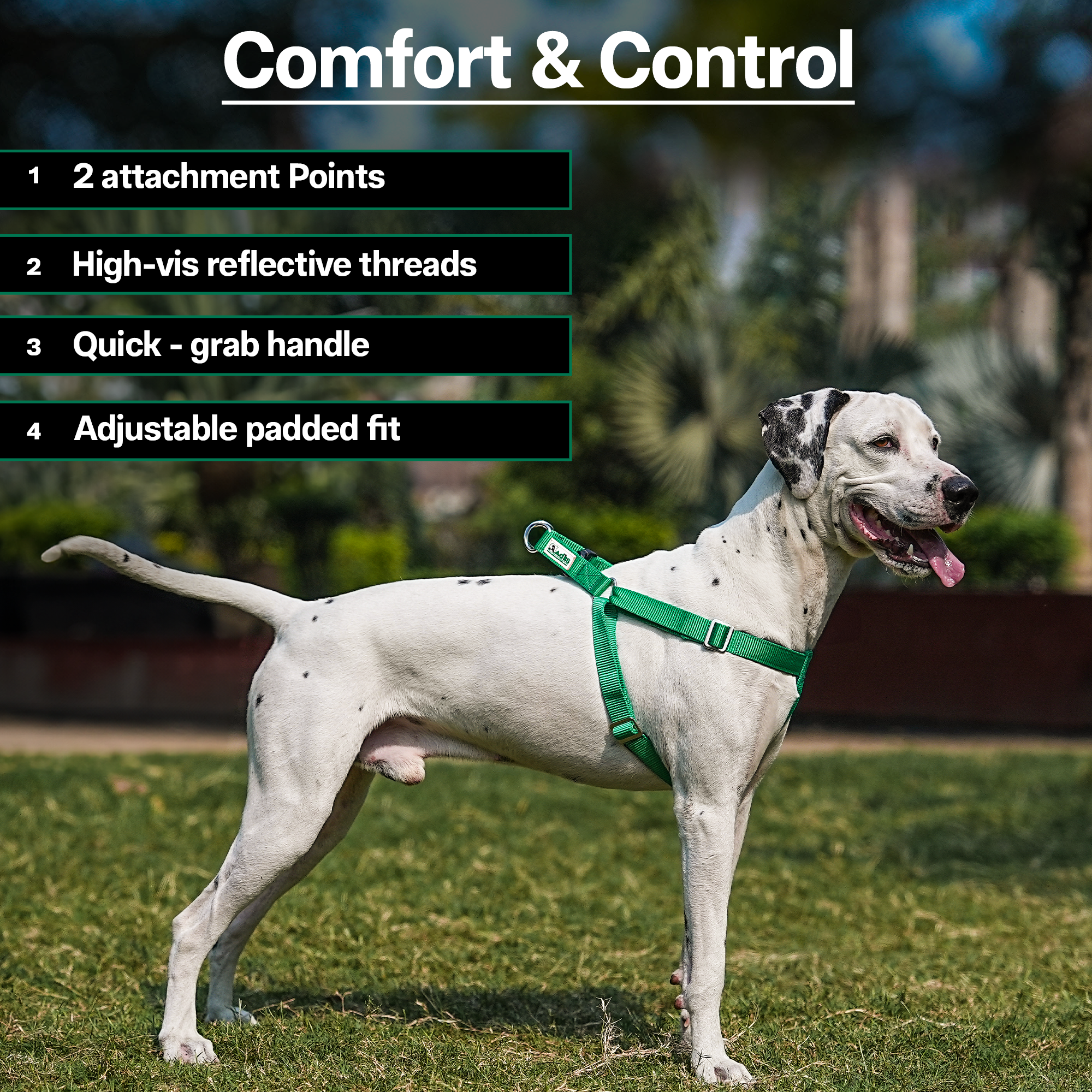 Adils H-shape harness for Walking Training Hiking & Outdoor Activities