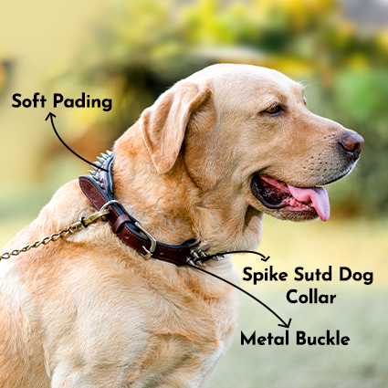 2-Inch Wide Spiked Leather Dog Collar for Pitbulls, Mastiffs, Street Hounds, and Huskies