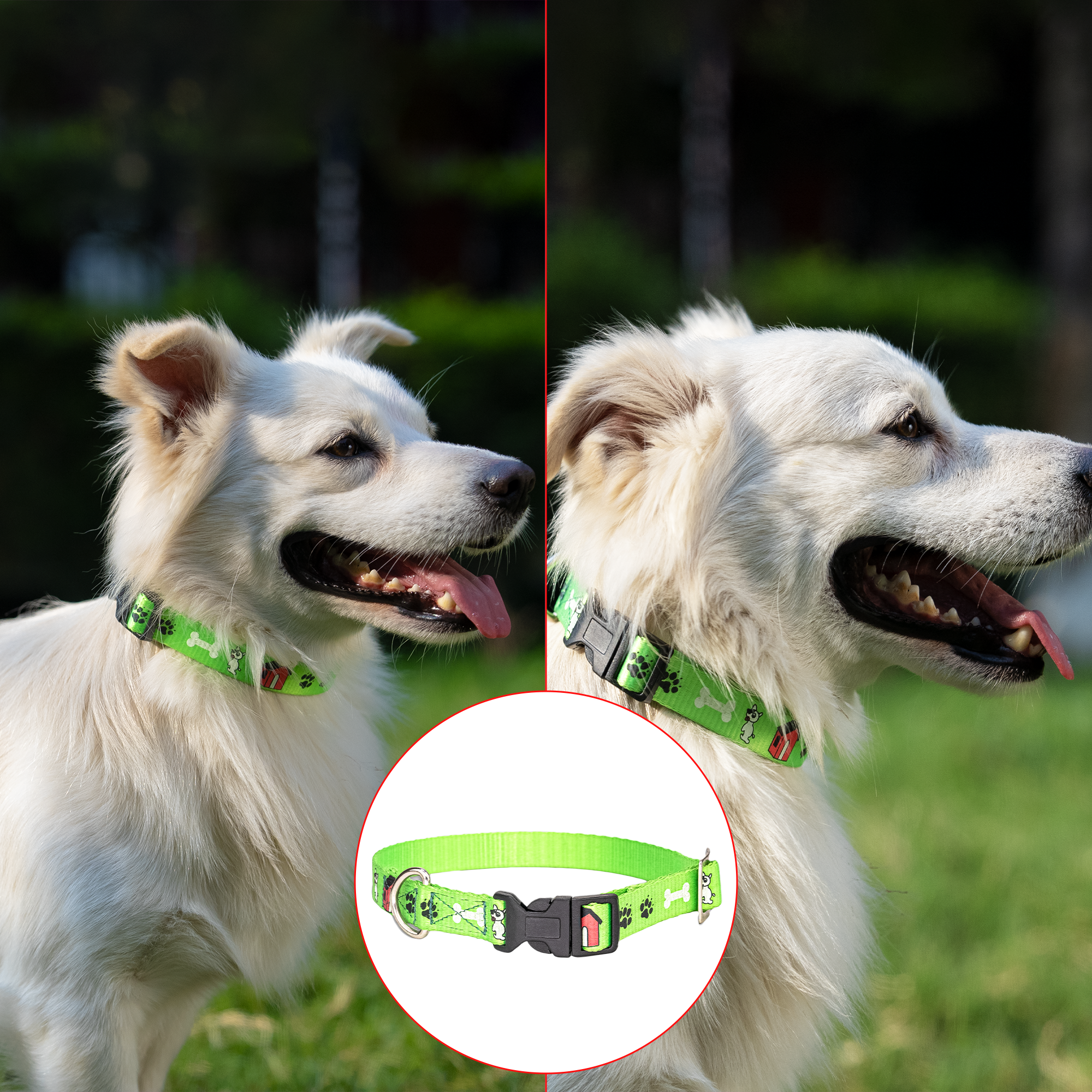 Adil’S Nylon Paw Print Dog Collar with Adjustable Quick Release Buckle & D-Ring for Leashes