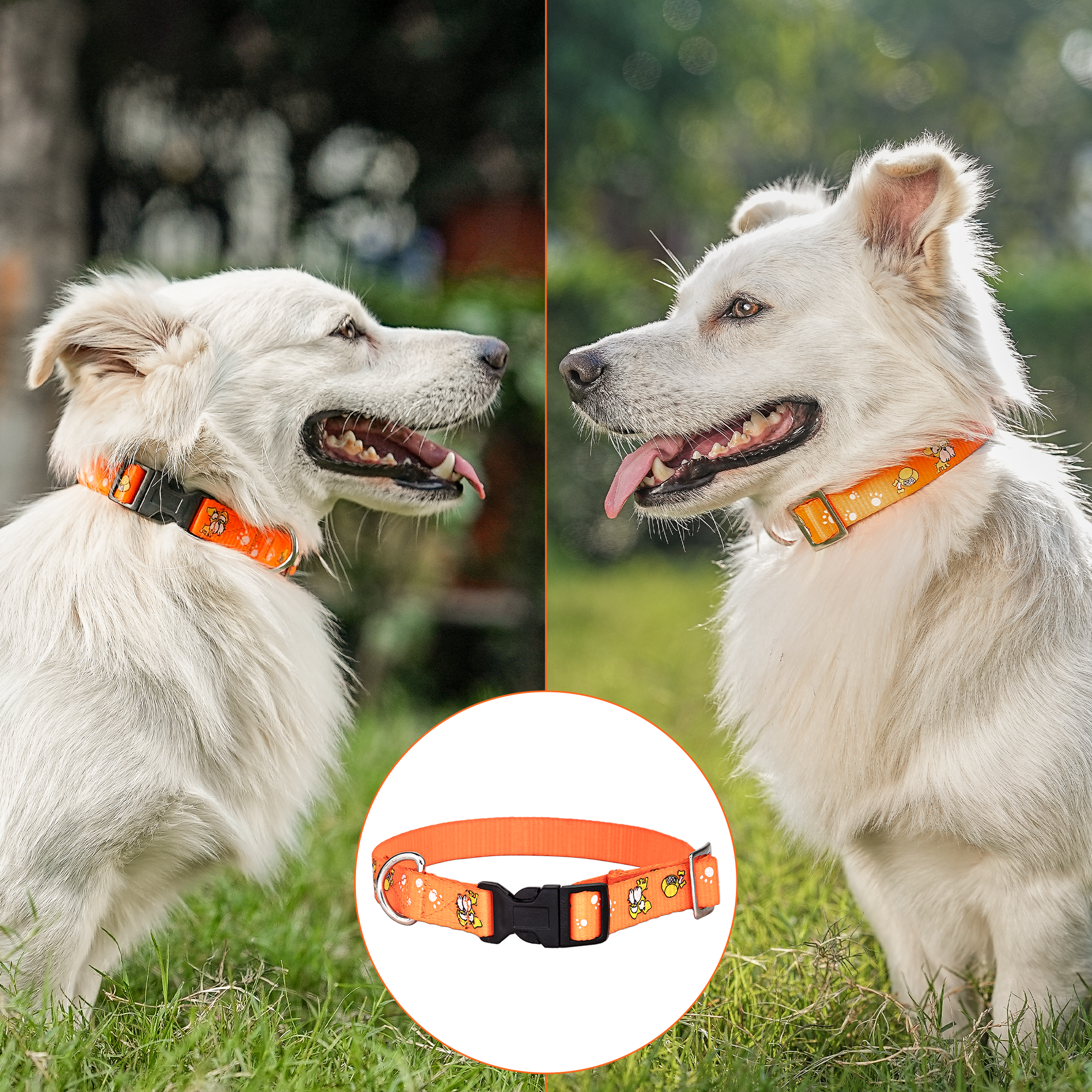 Adil’S Nylon Paw Print Dog Collar with Adjustable Quick Release Buckle & D-Ring for Leashes