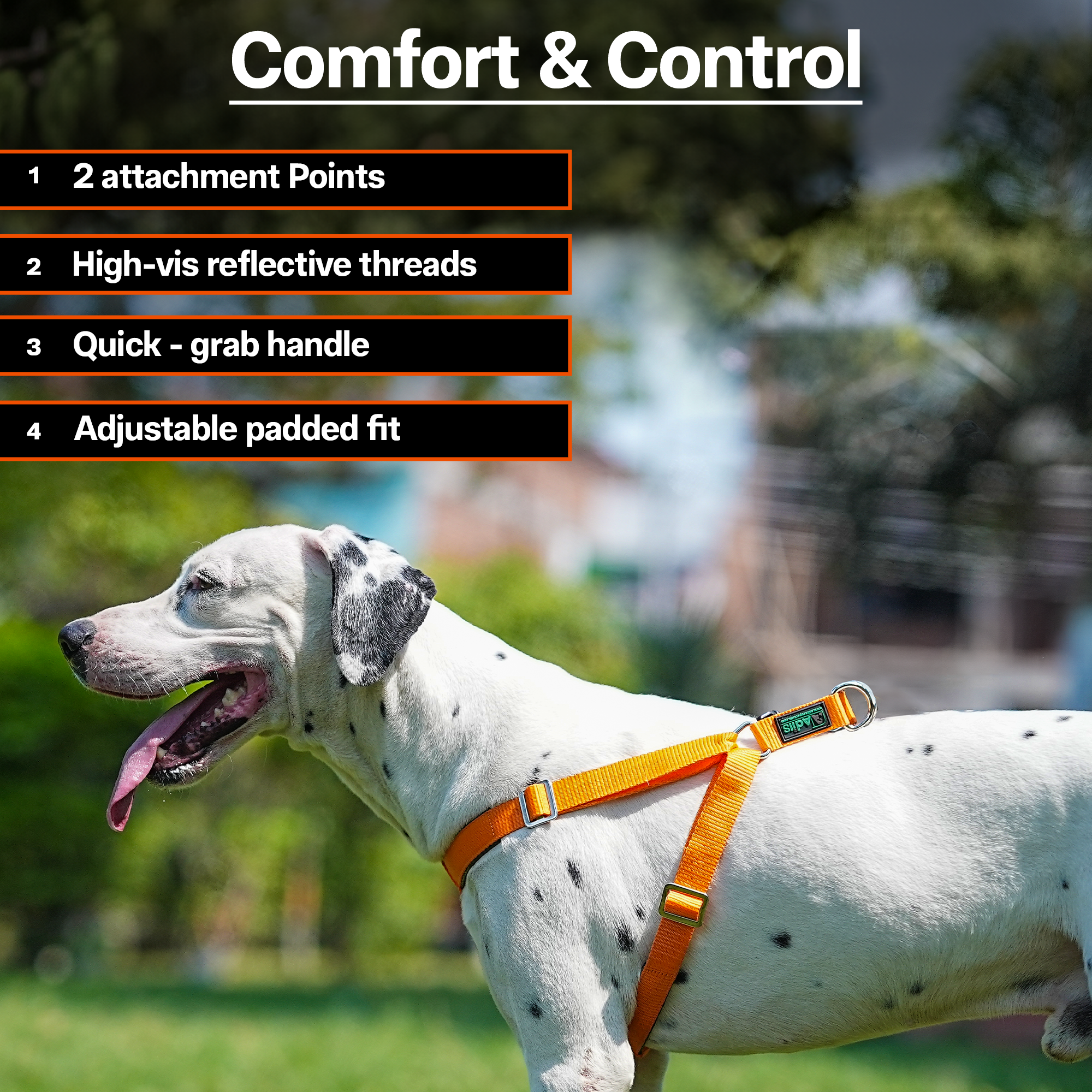 Adils H-shape harness for Walking Training Hiking & Outdoor Activities