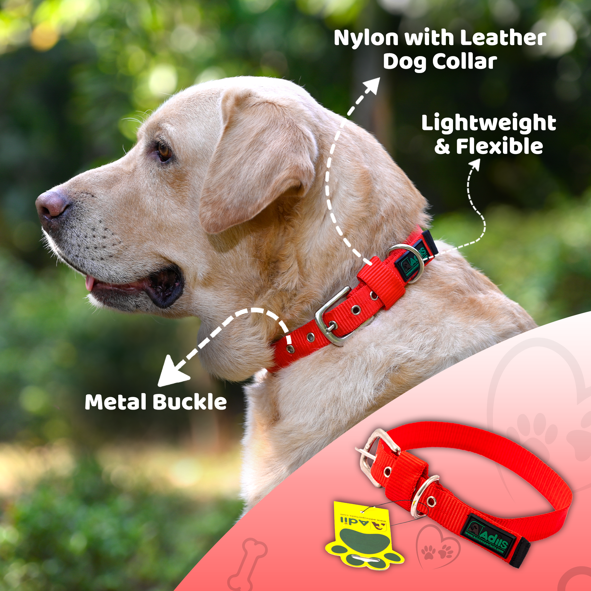 Adil's Nylon Dog Collar with Adjustable Metal Buckle – 1 Inch Wide