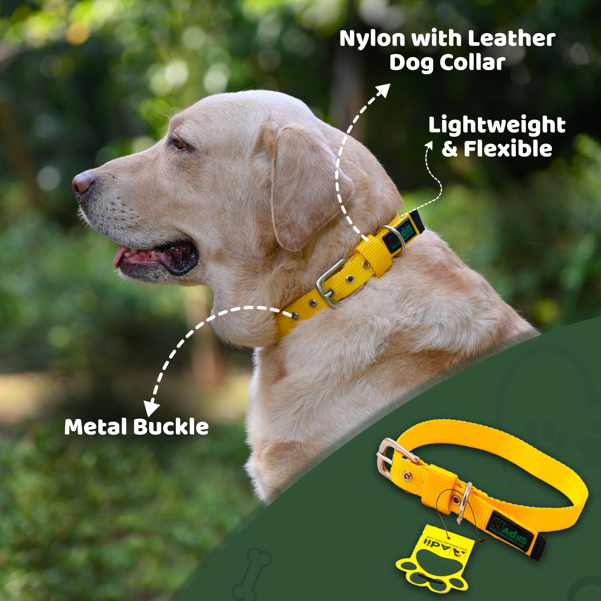 Adil's Nylon Dog Collar with Adjustable Metal Buckle – 1 Inch Wide