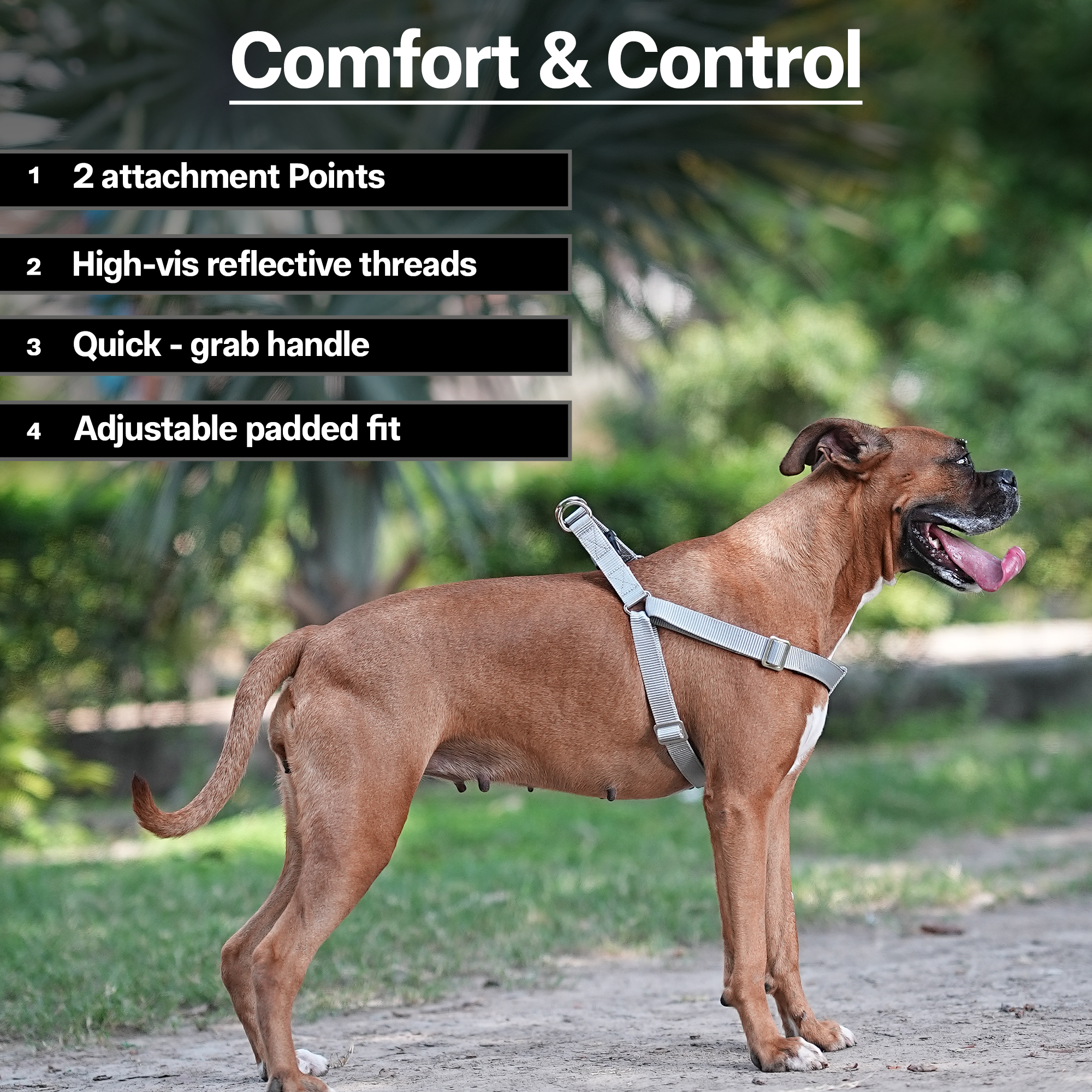 Adils H-shape harness for Walking Training Hiking & Outdoor Activities