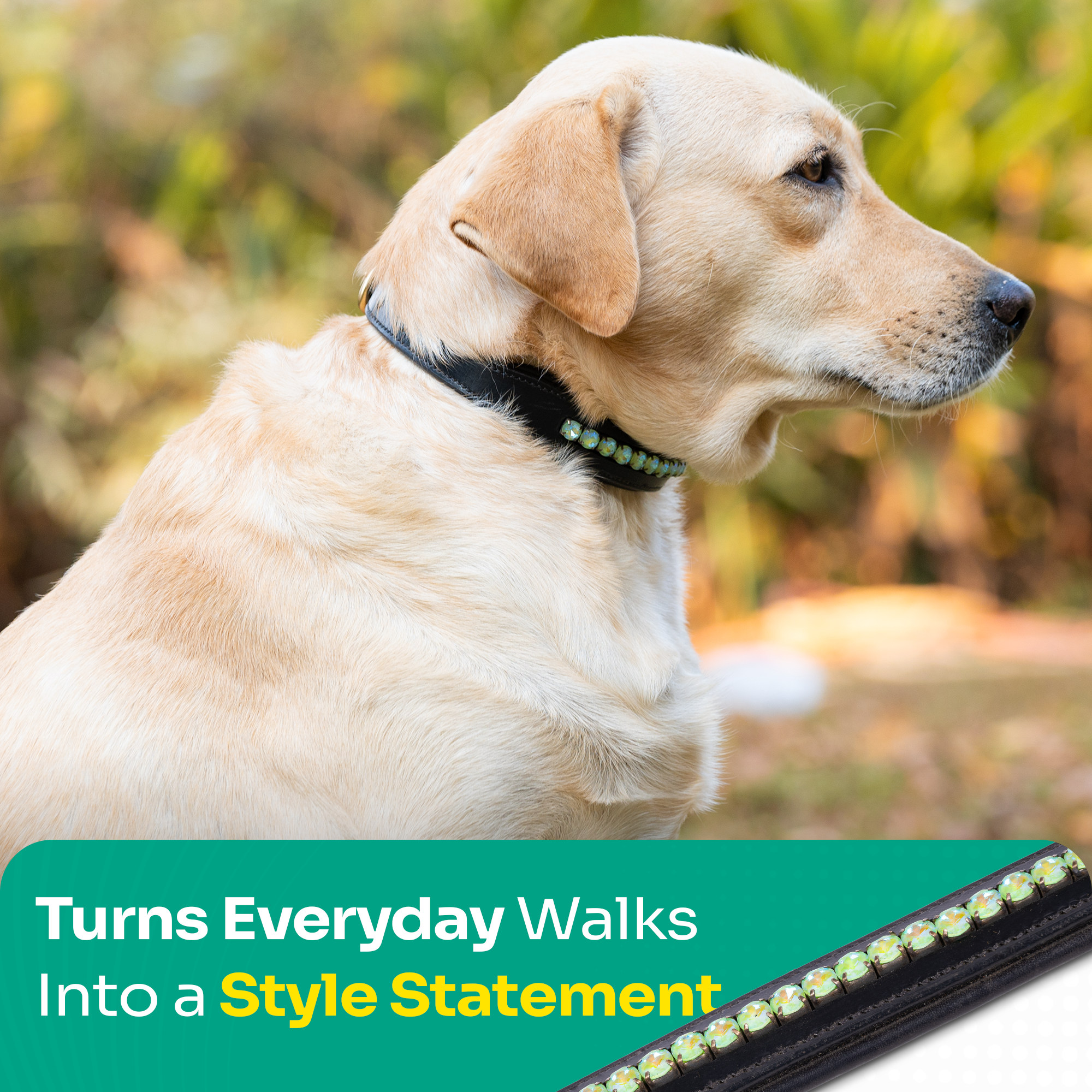 Adil’s Crystal Dog Collar, 1 inch Wide Green Gemstone Chain Leather Dog Collars for Small Medium Large Dogs, Adjustable Collars with Strong Metal Buckle & D-Ring