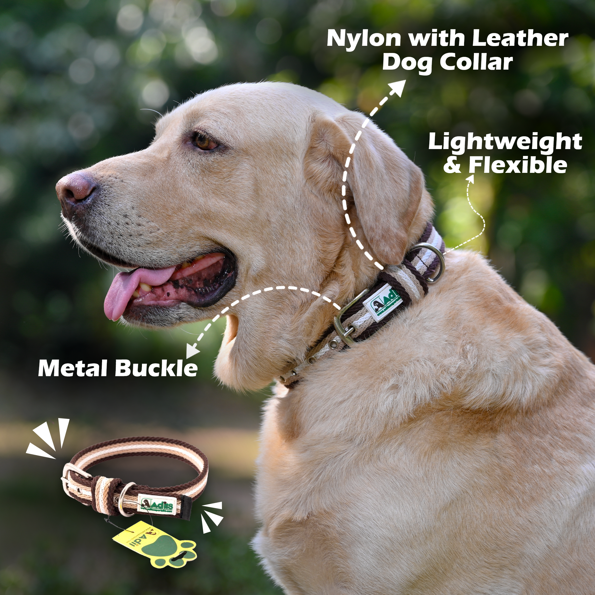 Adil's Multi-Color Cotton Dog Collars – Adjustable Collar with Metal Buckle & D-Ring (1 Inch Wide)