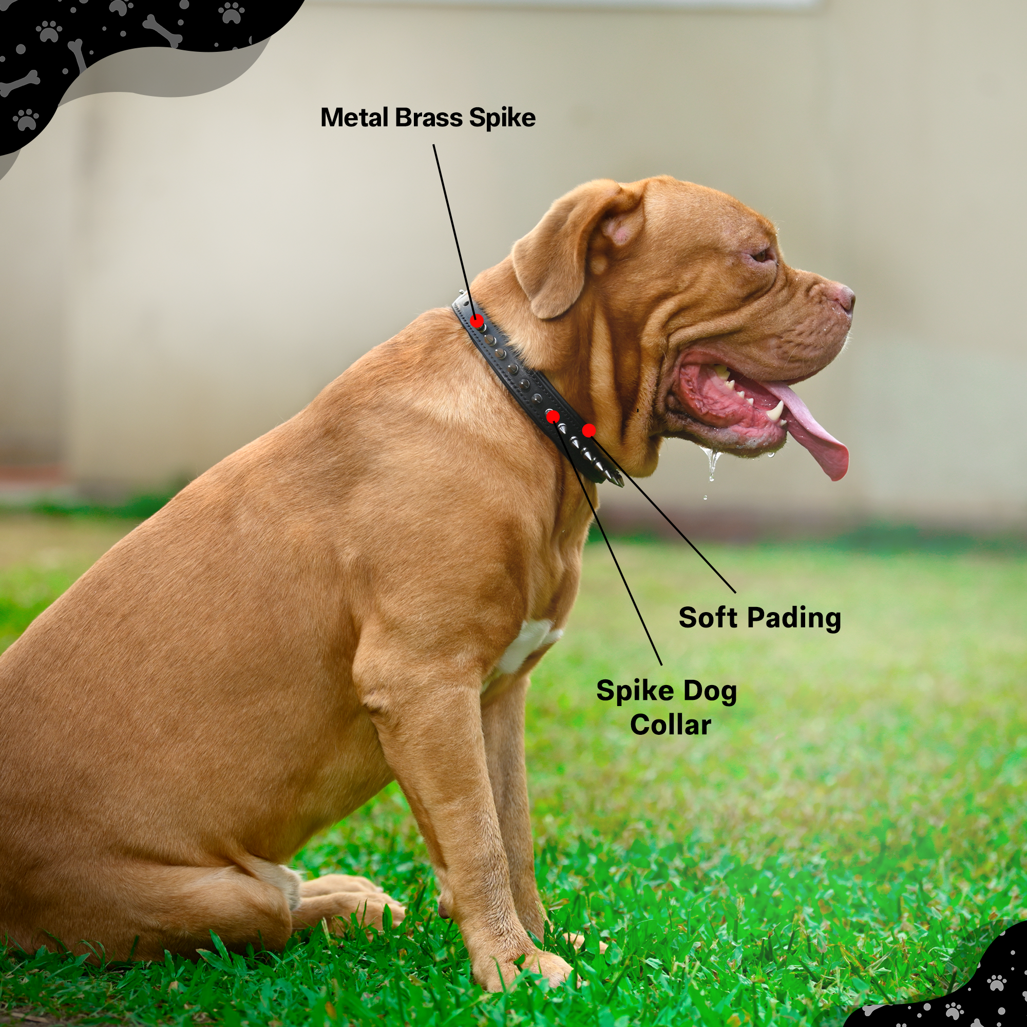 Adil’S Leather Spike Dog Collar for Small, Medium & Large Dogs with Strong Metal D-Ring, Adjustable Collar fits All Neck Size, 1” Width