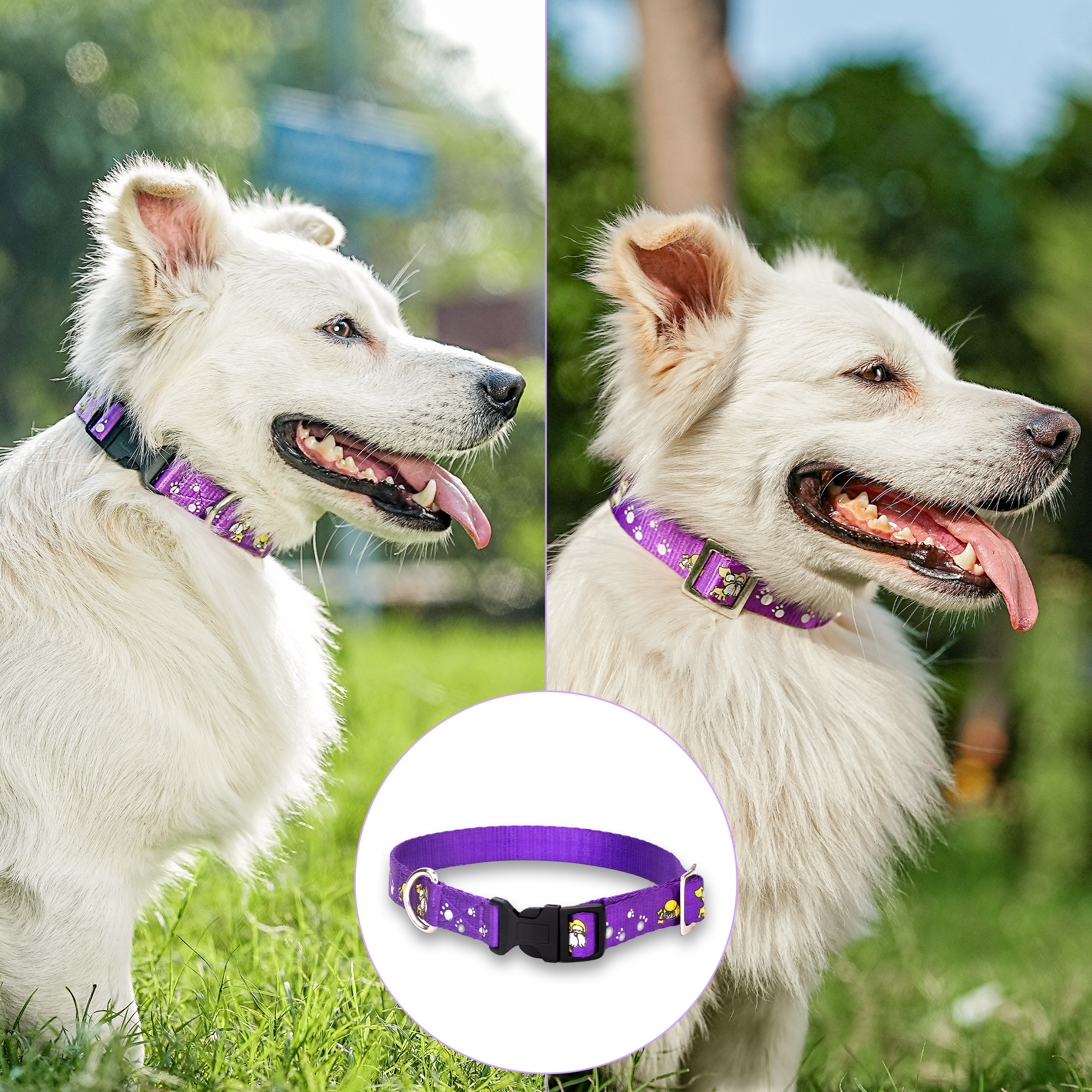 Adil’S Nylon Paw Print Dog Collar with Adjustable Quick Release Buckle & D-Ring for Leashes