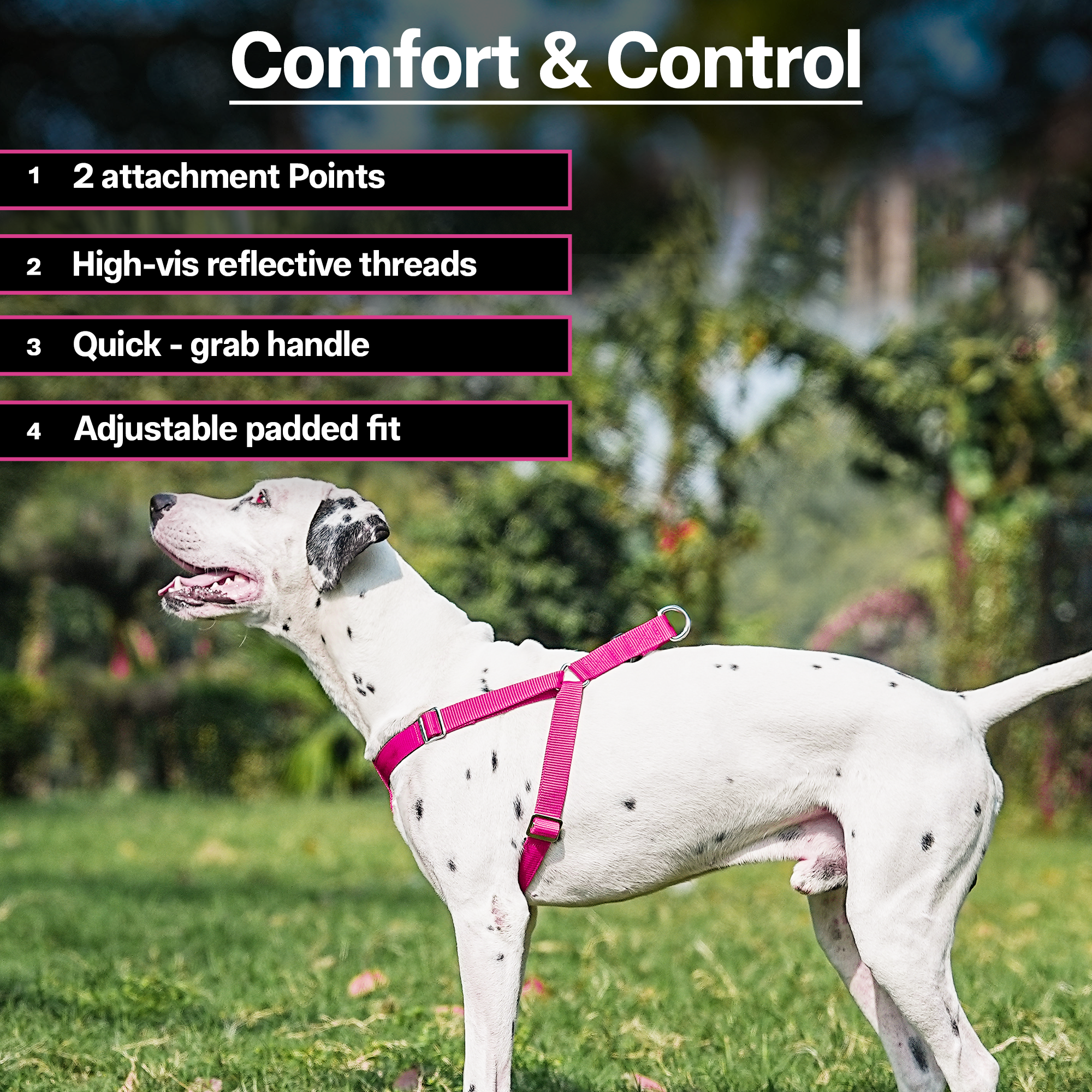 Adils H-shape harness for Walking Training Hiking & Outdoor Activities