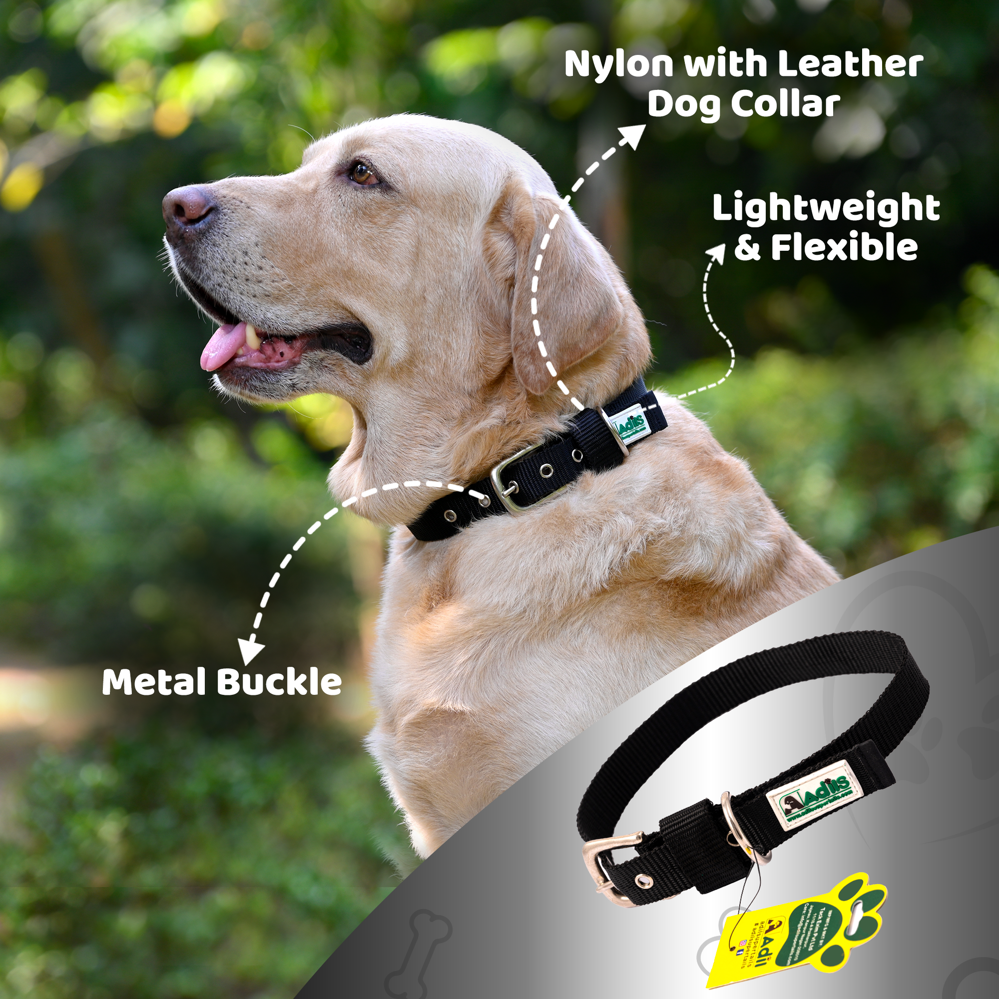 Adil's Nylon Dog Collar with Adjustable Metal Buckle – 1 Inch Wide