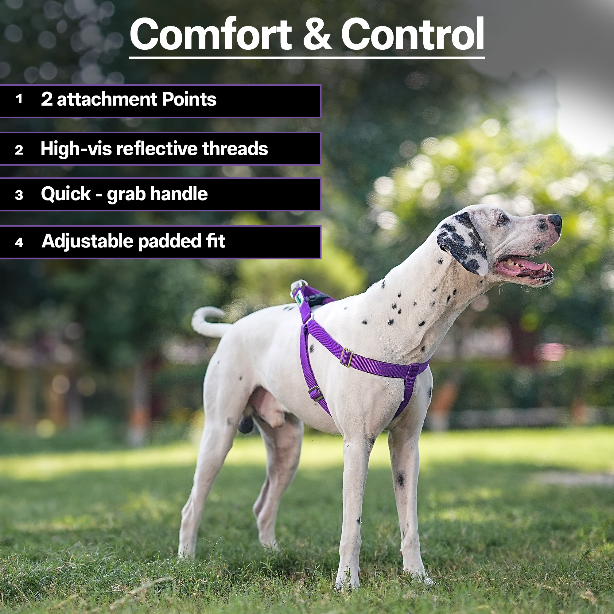 Adils H-shape harness for Walking Training Hiking & Outdoor Activities