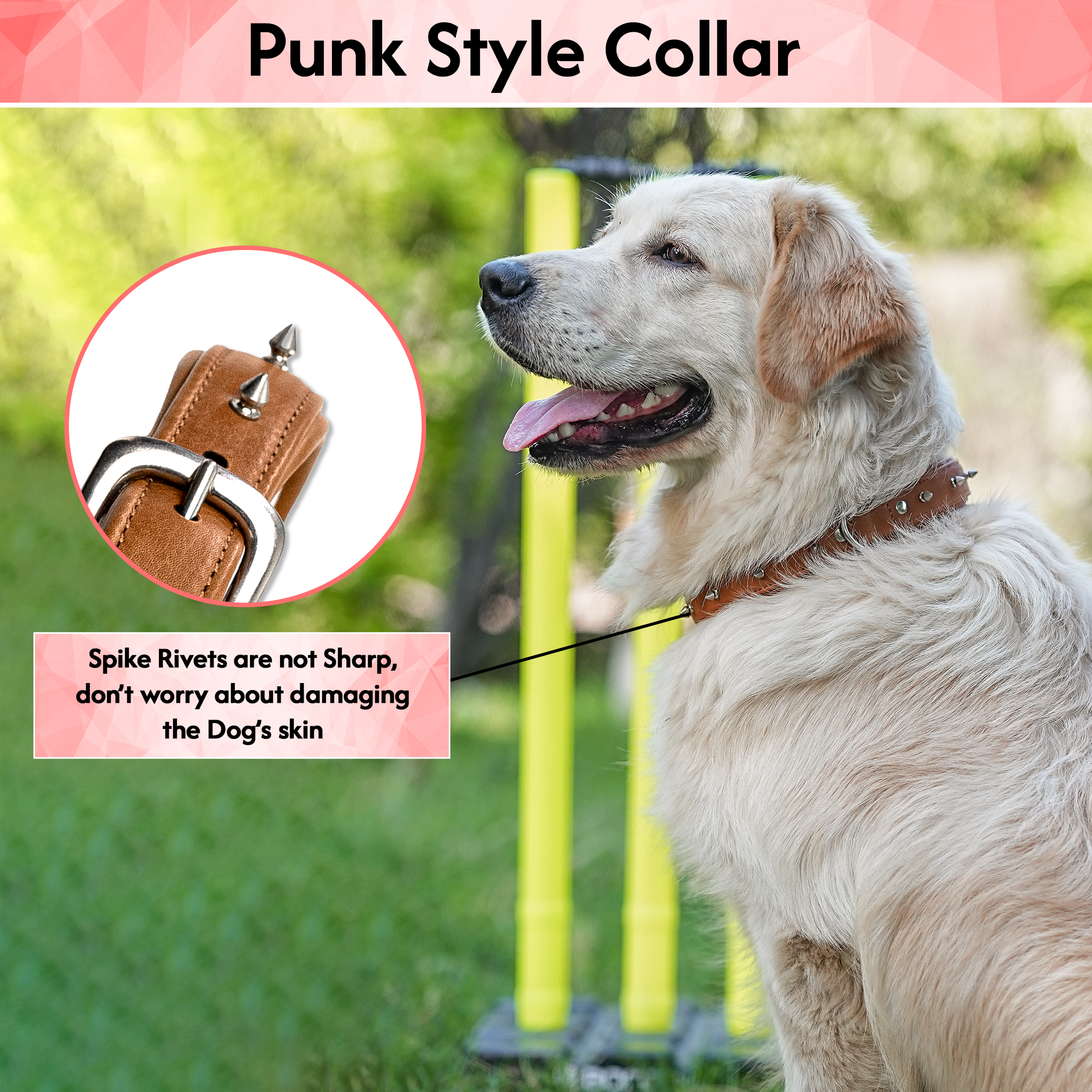 Adil's Spiked Softy Leather Dog Collar with Mushroom Rivet Studs - Adjustable for All Breeds, Metal Buckle & D-Ring