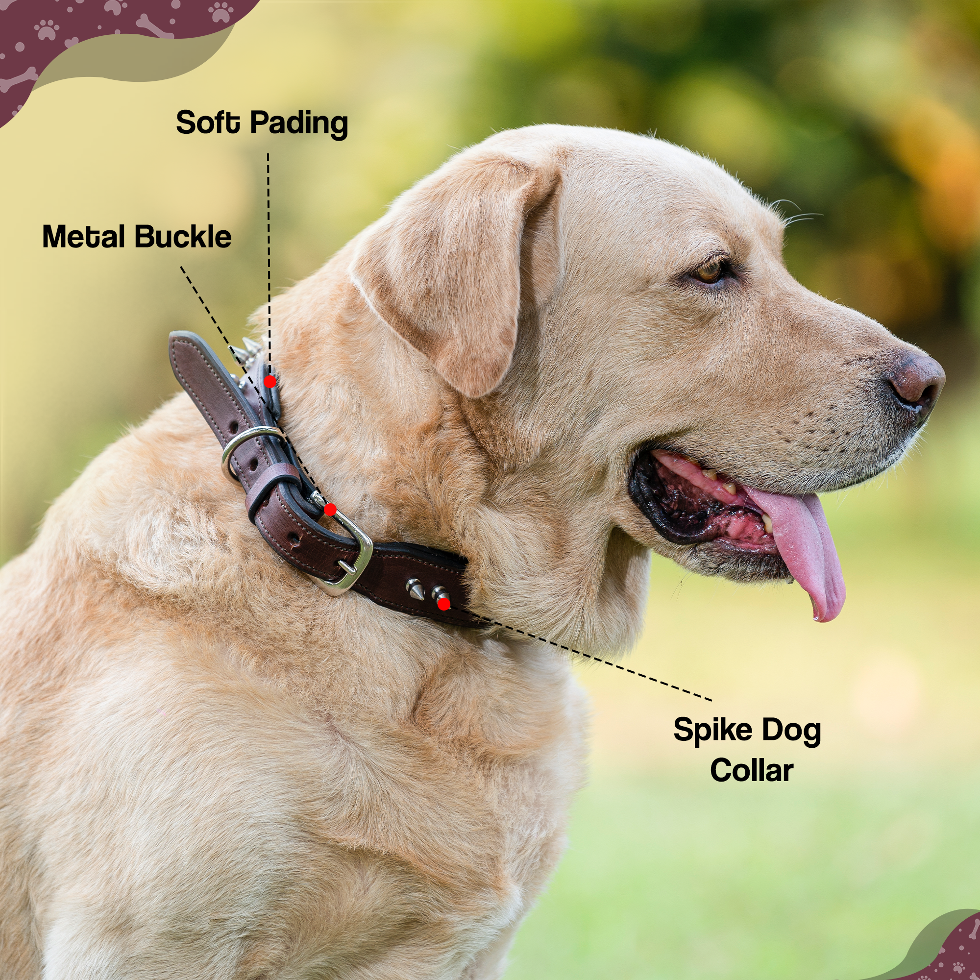 Adil’S Leather Spike Dog Collar for Small, Medium & Large Dogs with Strong Metal D-Ring, Adjustable Collar fits All Neck Size, 1” Width