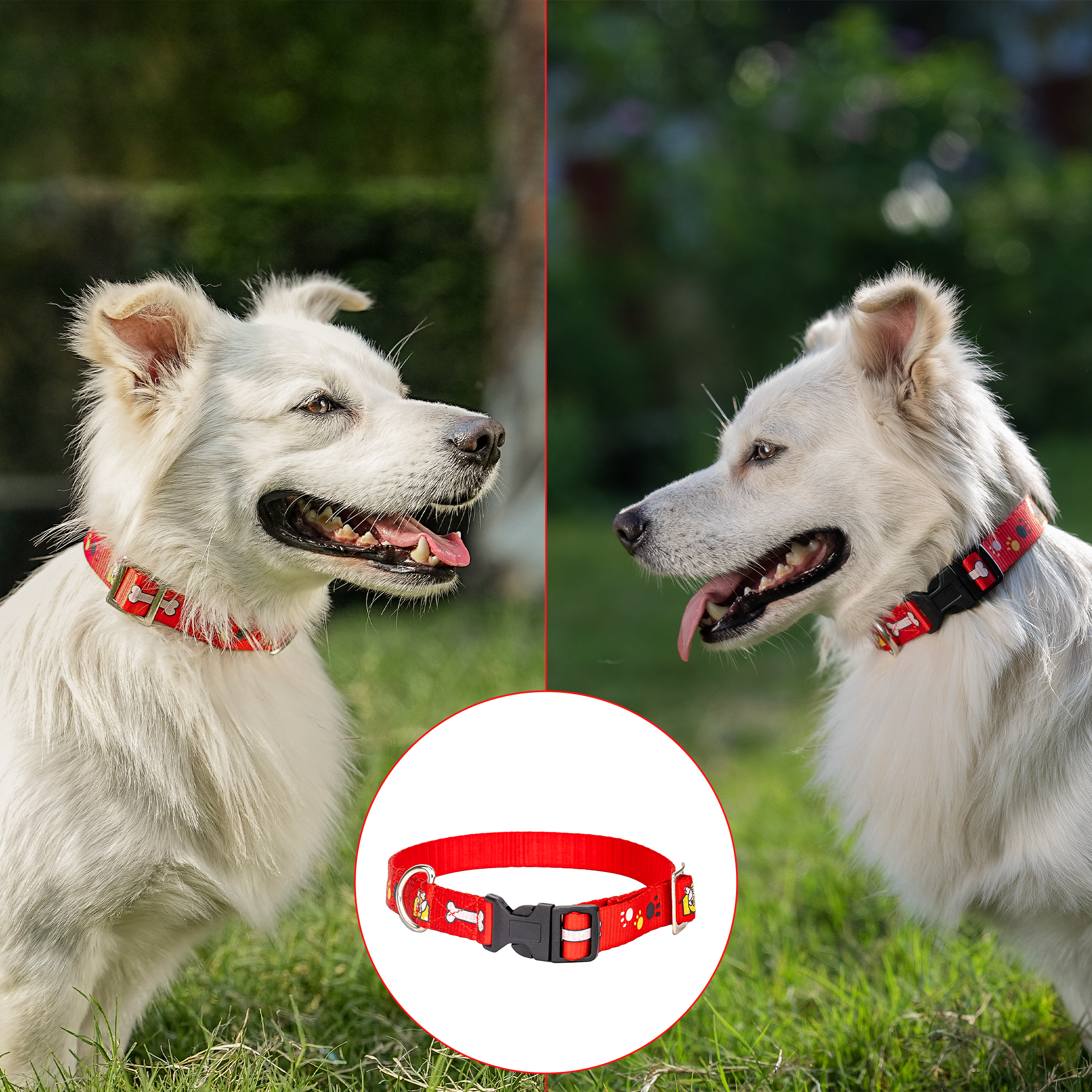 Adil’S Nylon Paw Print Dog Collar with Adjustable Quick Release Buckle & D-Ring for Leashes