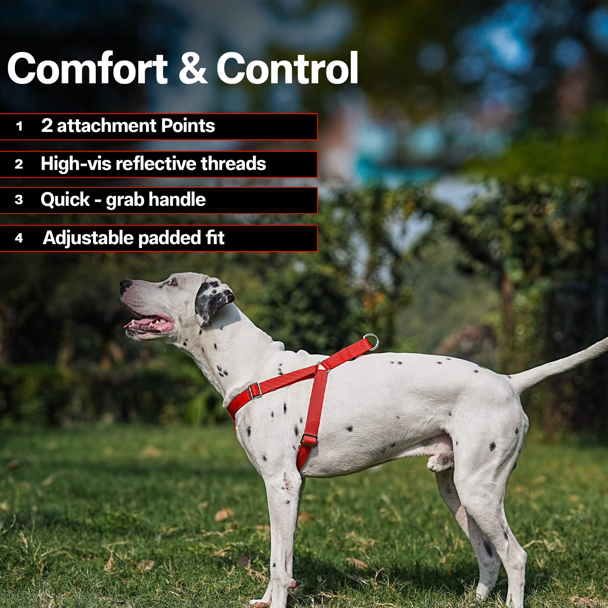 Adils H-shape harness for Walking Training Hiking & Outdoor Activities