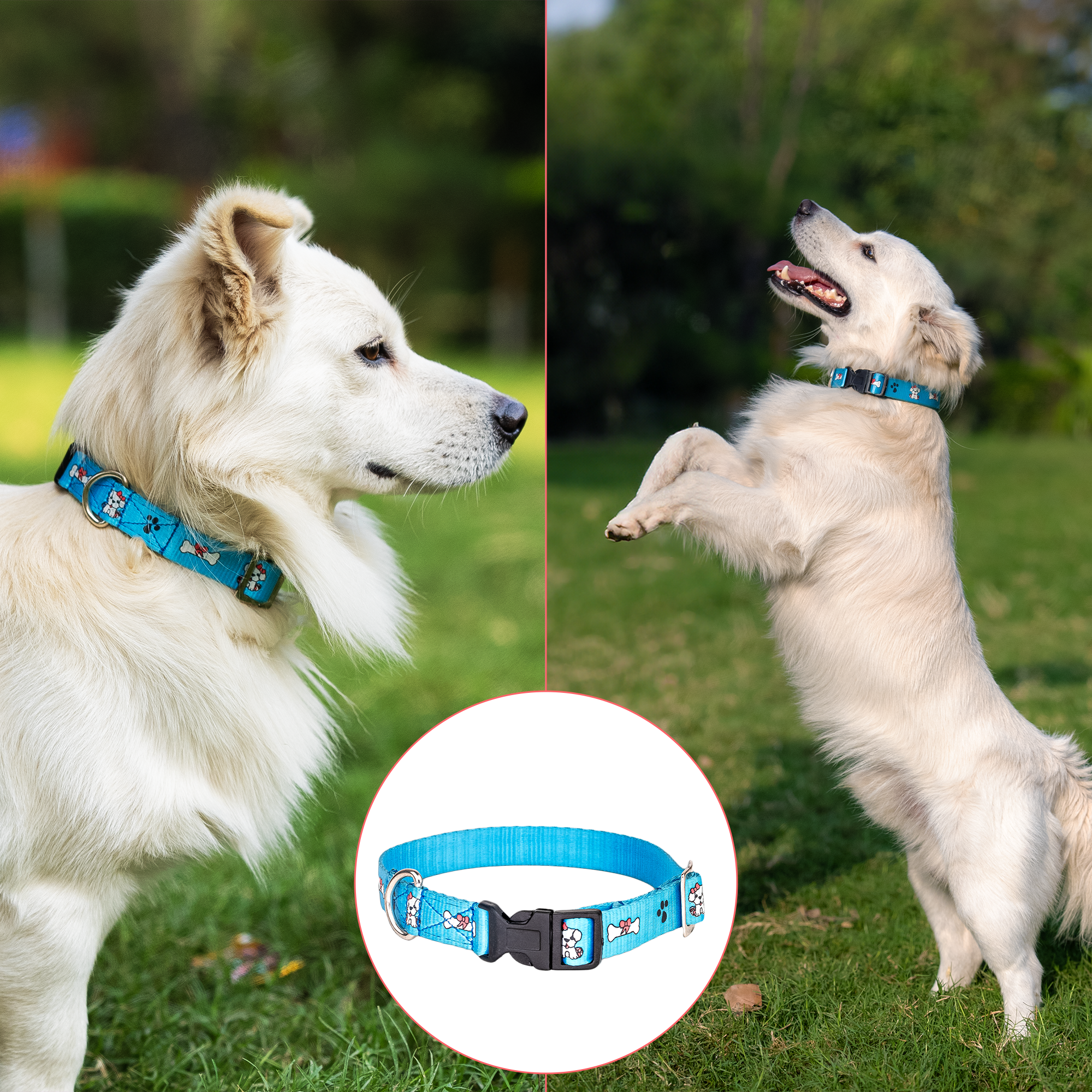 Adil’S Nylon Paw Print Dog Collar with Adjustable Quick Release Buckle & D-Ring for Leashes