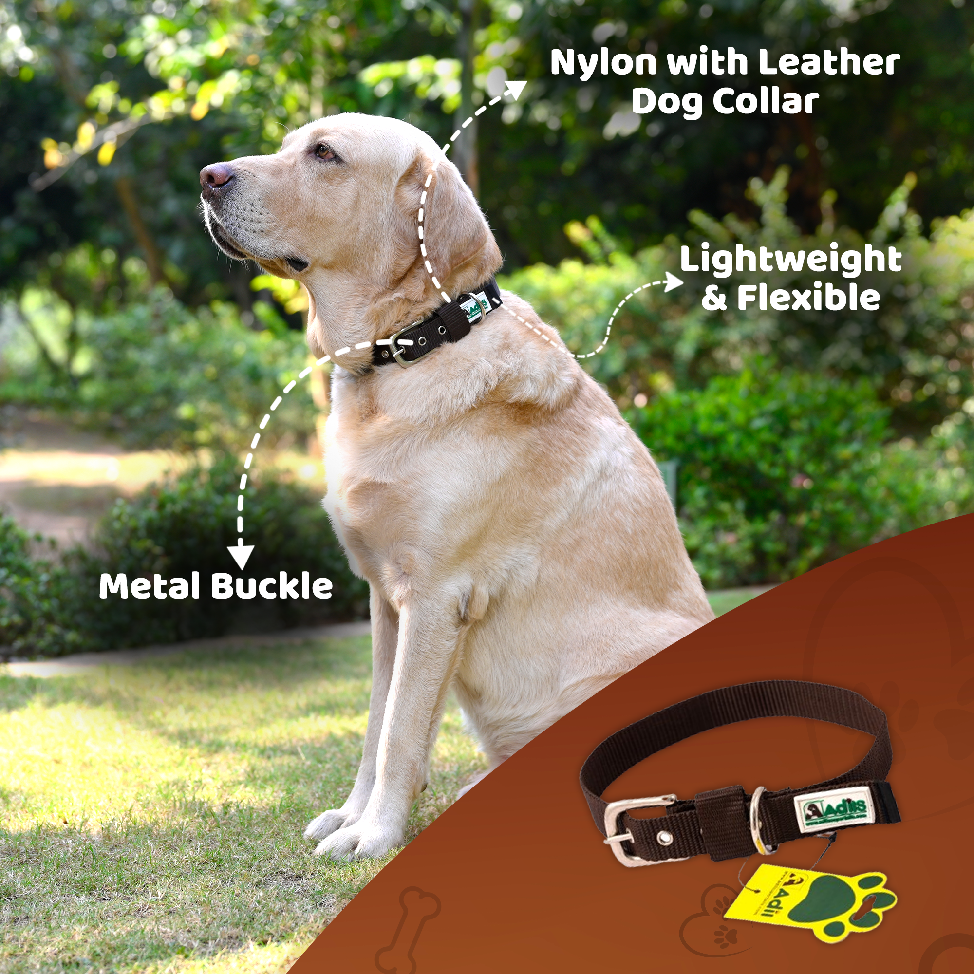 Adil's Nylon Dog Collar with Adjustable Metal Buckle – 1 Inch Wide