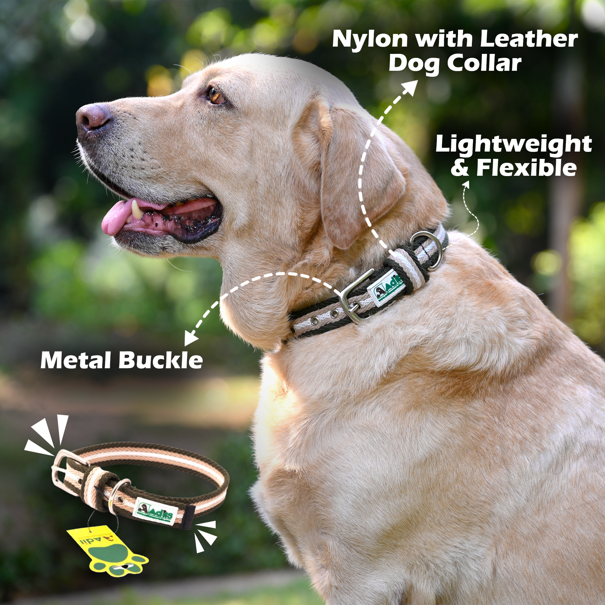 Adil's Multi-Color Cotton Dog Collars – Adjustable Collar with Metal Buckle & D-Ring (1 Inch Wide)