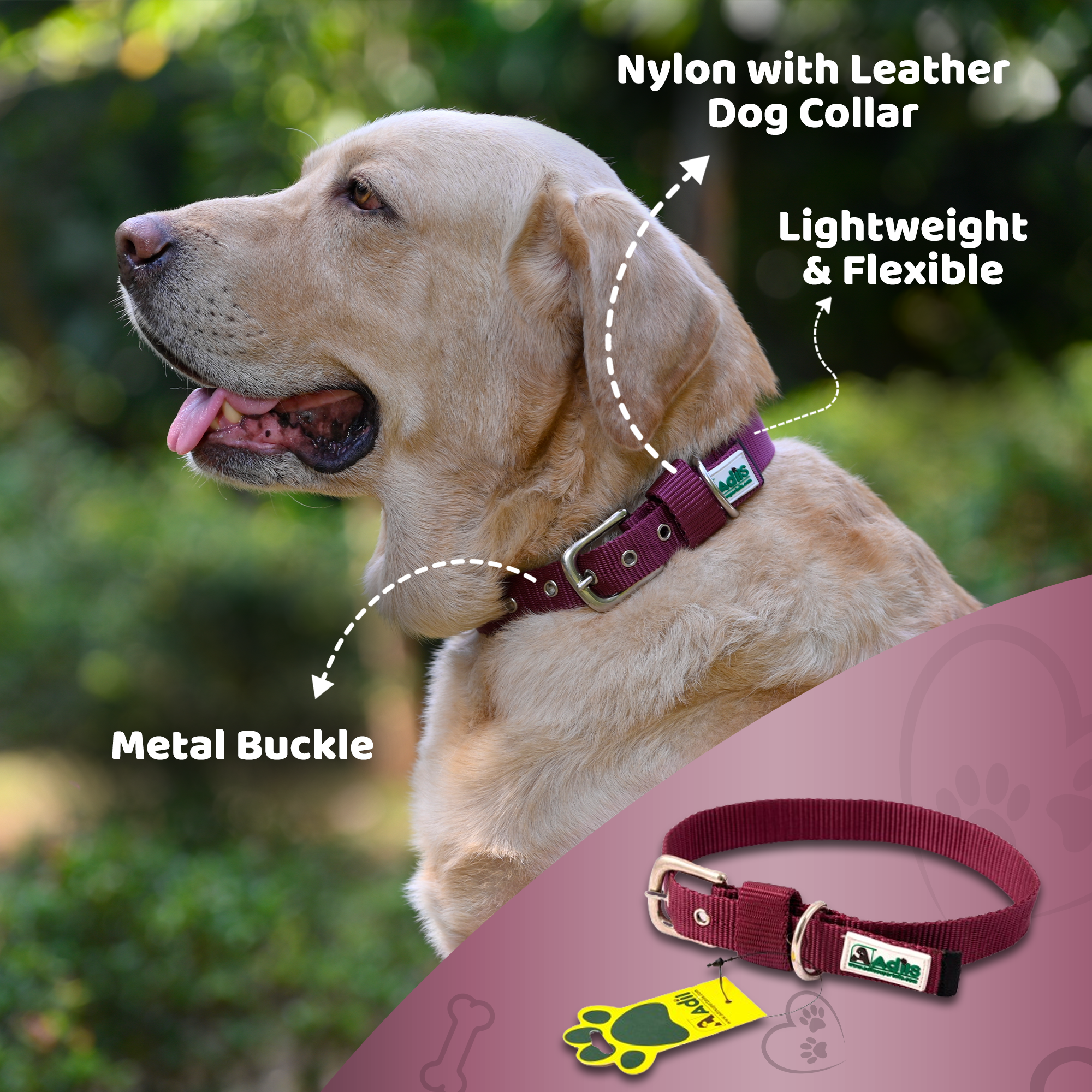 Adil's Nylon Dog Collar with Adjustable Metal Buckle – 1 Inch Wide