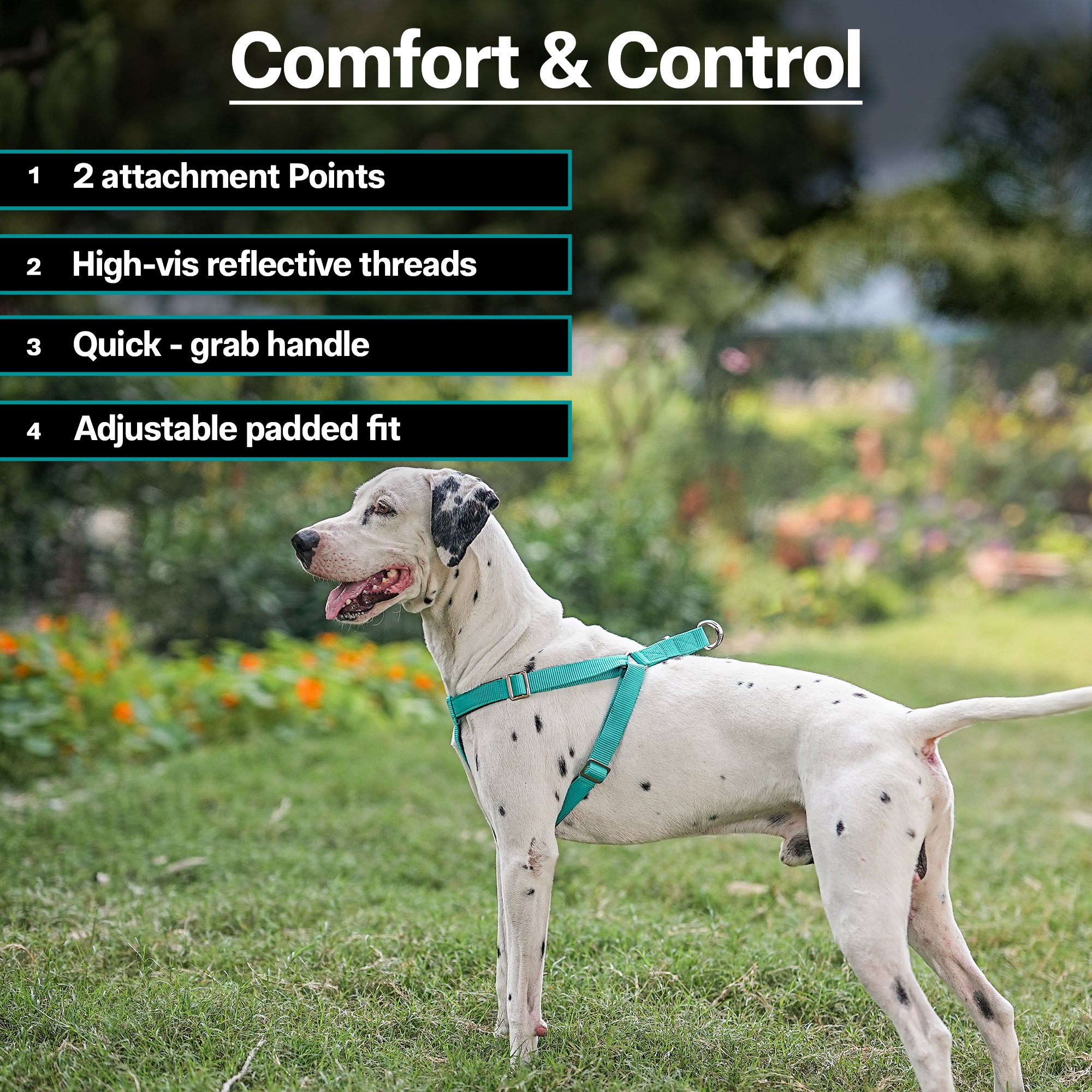 Adils H-shape harness for Walking Training Hiking & Outdoor Activities