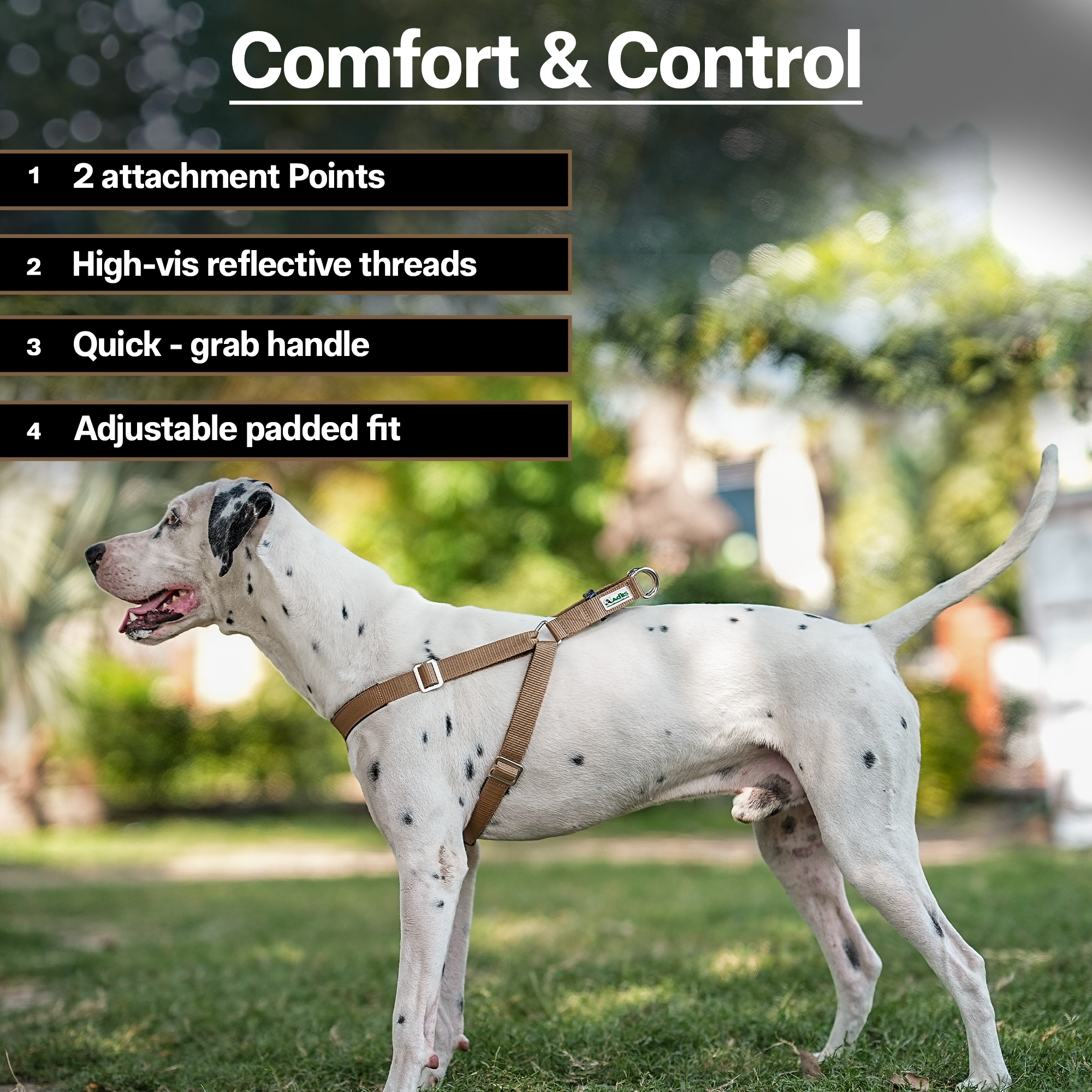 Adils H-shape harness for Walking Training Hiking & Outdoor Activities