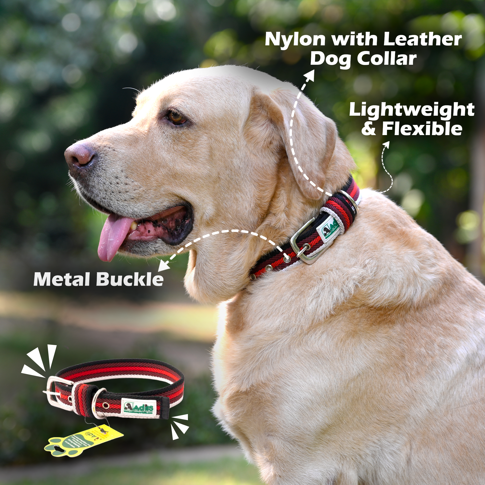 Adil's Multi-Color Cotton Dog Collars – Adjustable Collar with Metal Buckle & D-Ring (1 Inch Wide)