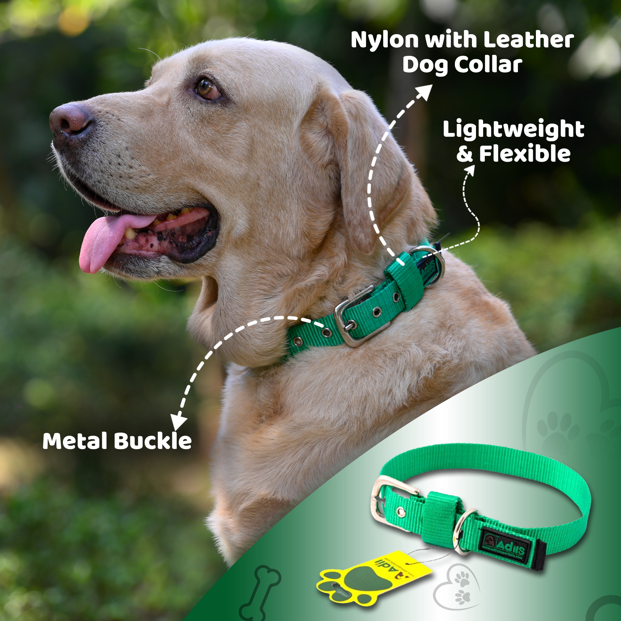 Adil's Nylon Dog Collar with Adjustable Metal Buckle – 1 Inch Wide