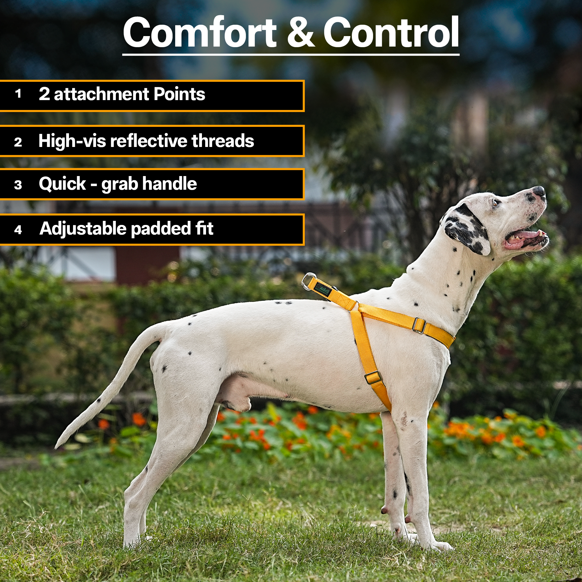 Adils H-shape harness for Walking Training Hiking & Outdoor Activities