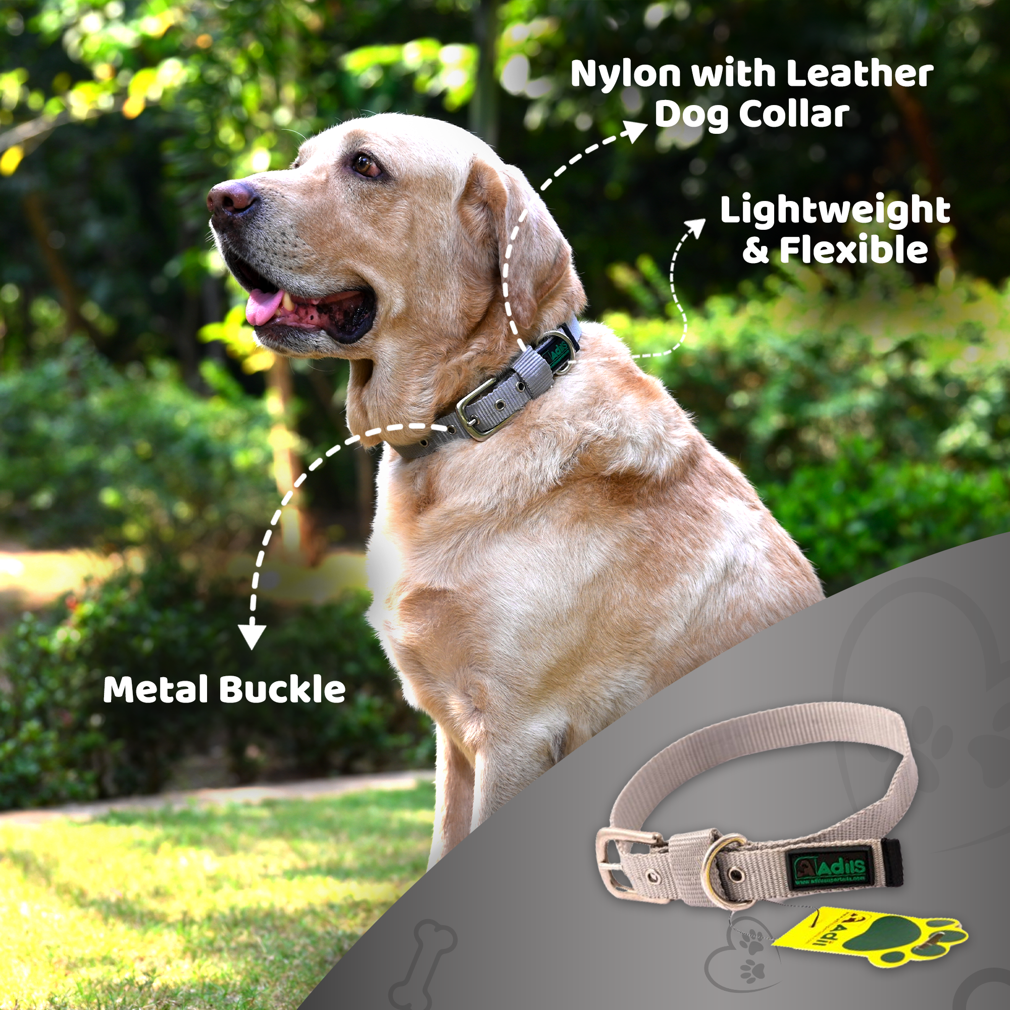 Adil's Nylon Dog Collar with Adjustable Metal Buckle – 1 Inch Wide