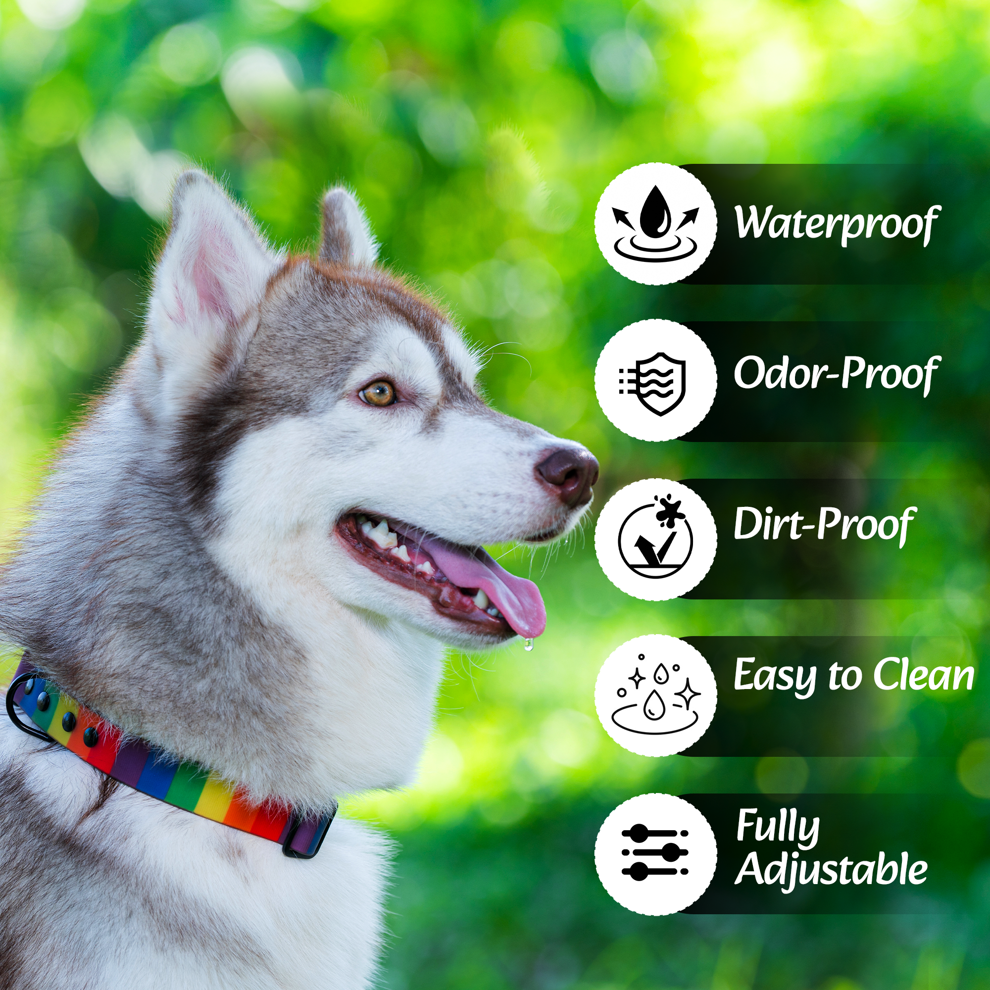 Adil’s Rainbow Biothane Dog Collar – Waterproof, Quick Release, Adjustable (M to L)