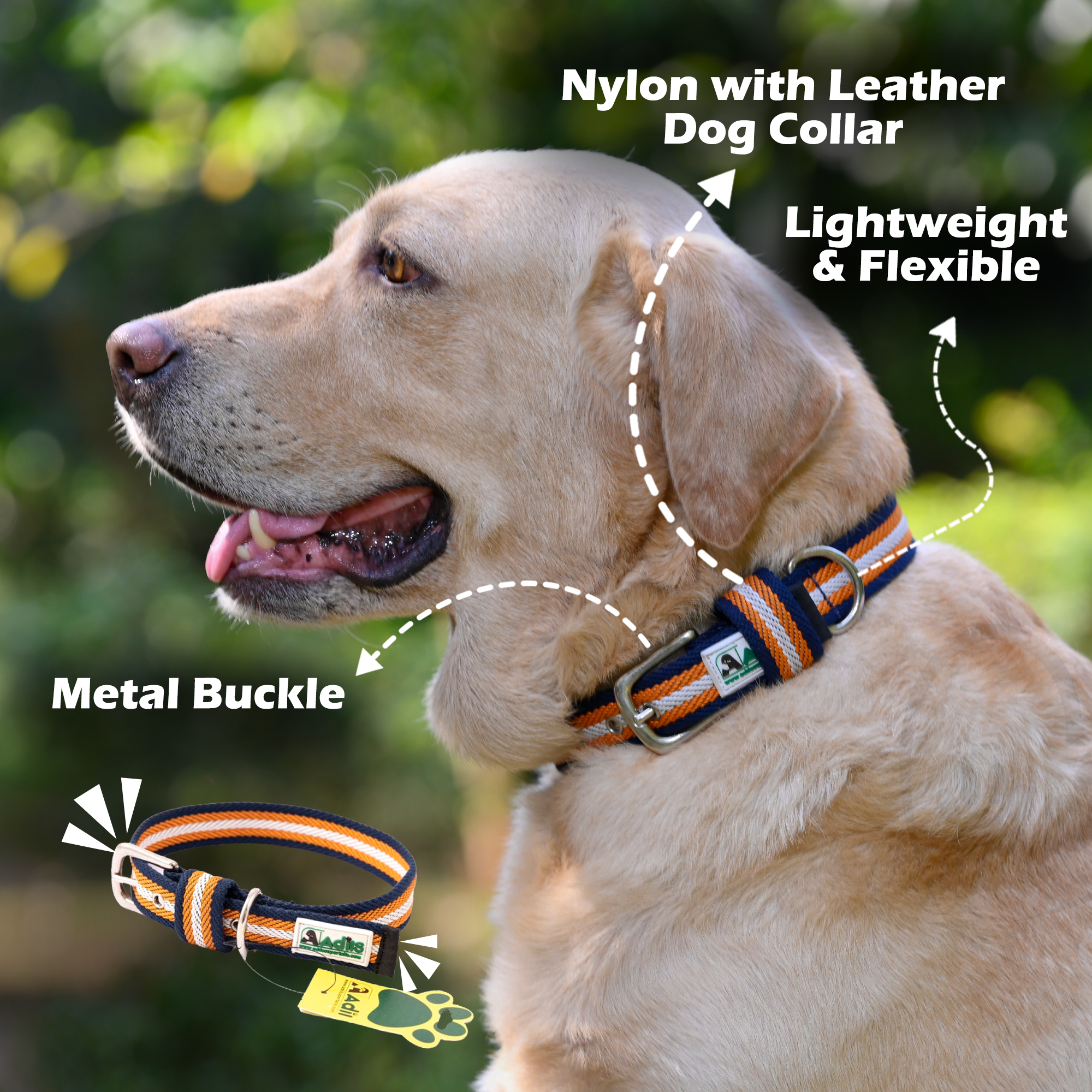 Adil's Multi-Color Cotton Dog Collars – Adjustable Collar with Metal Buckle & D-Ring (1 Inch Wide)