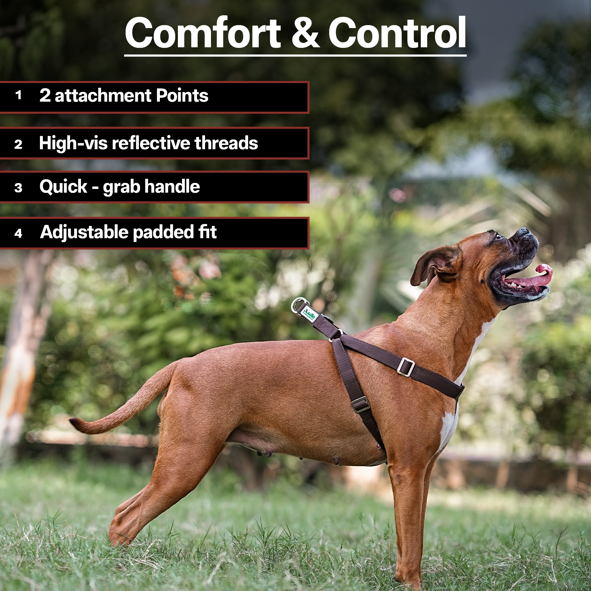 Adils H-shape harness for Walking Training Hiking & Outdoor Activities