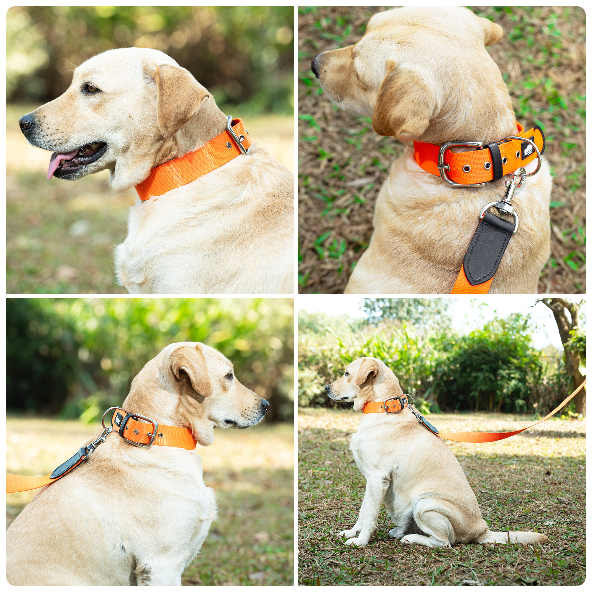 Adil’s Nylon Dog Collar & Leash Combo Set 1.5 Inch Wide Adjustable Collar with Strong Metal Buckle & D-Ring, 5 Ft Durable Leash with 360° Swivel Hook Pets