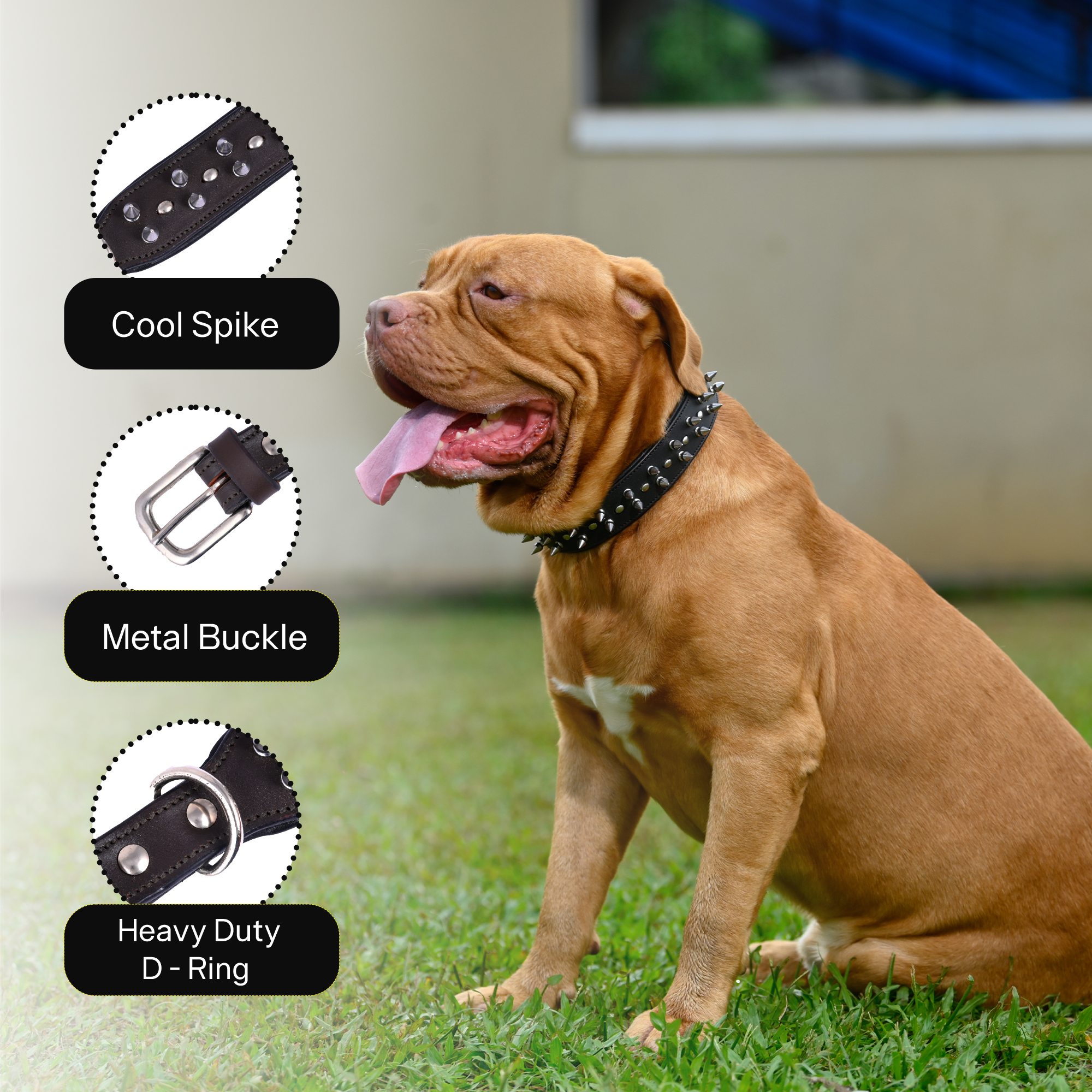 ADIL's Adjustable Spike Studded Dog Collars, Durable Leather Spike Pet Collars For Small Medium & Large Breeds, Strong Metal D-Right & Buckle 1.5 cm
