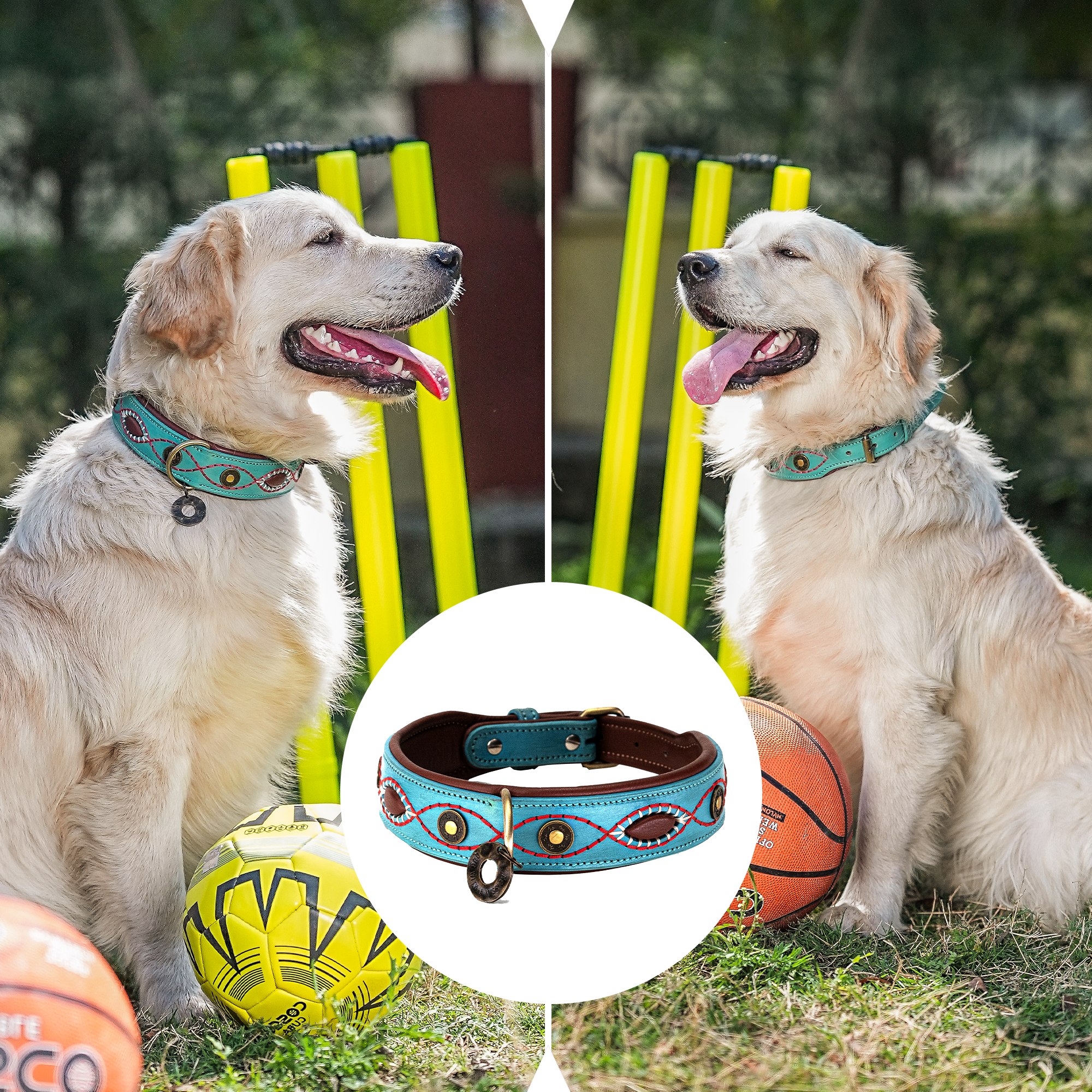 Coin Studded Leather Dog Collar – 1.5" wide, durable leather with premium stitching, metal buckle & D-ring. Fits small to large dogs.