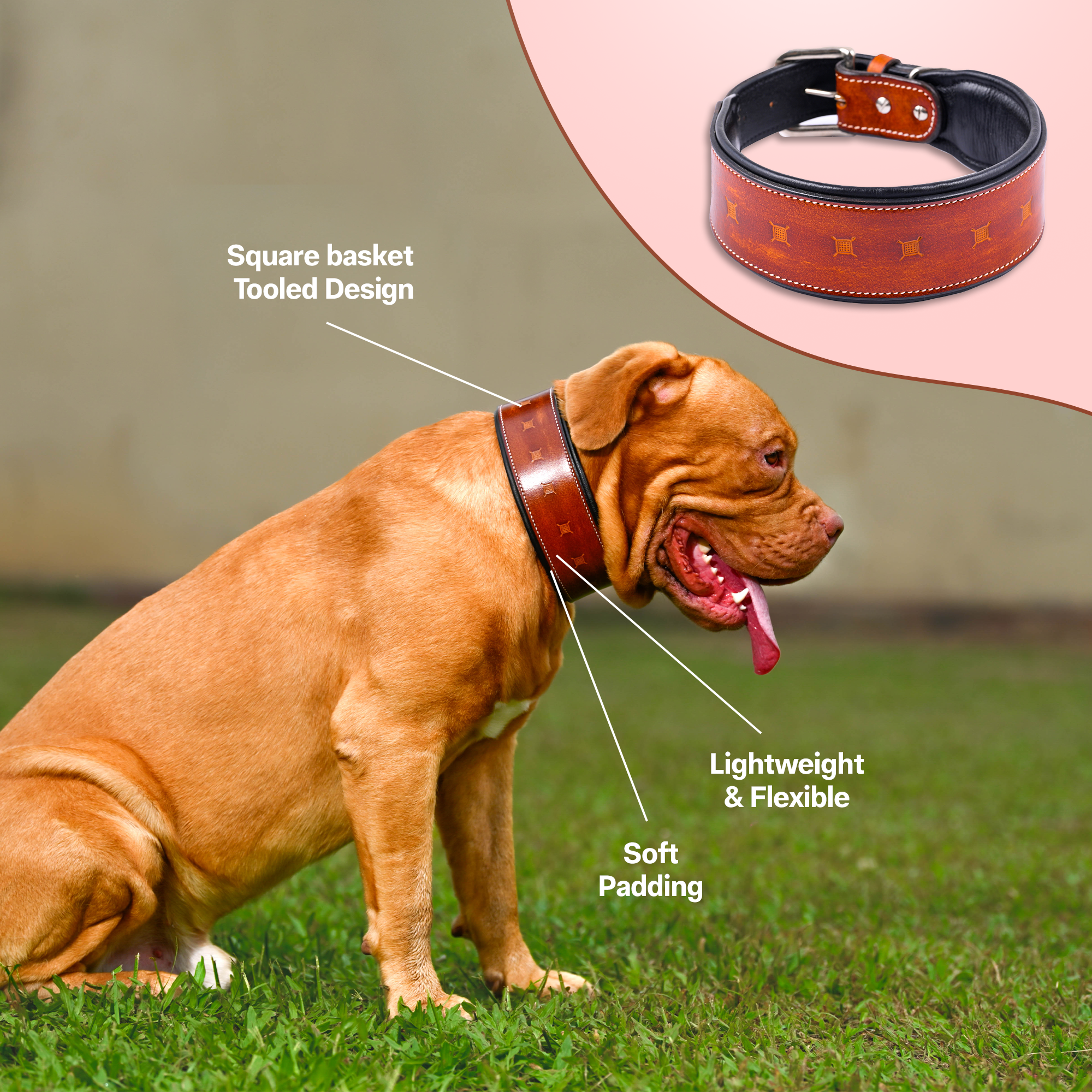 Handcrafted Leather Square Basket Tooled Dog Collar | With Adjustable Buckle