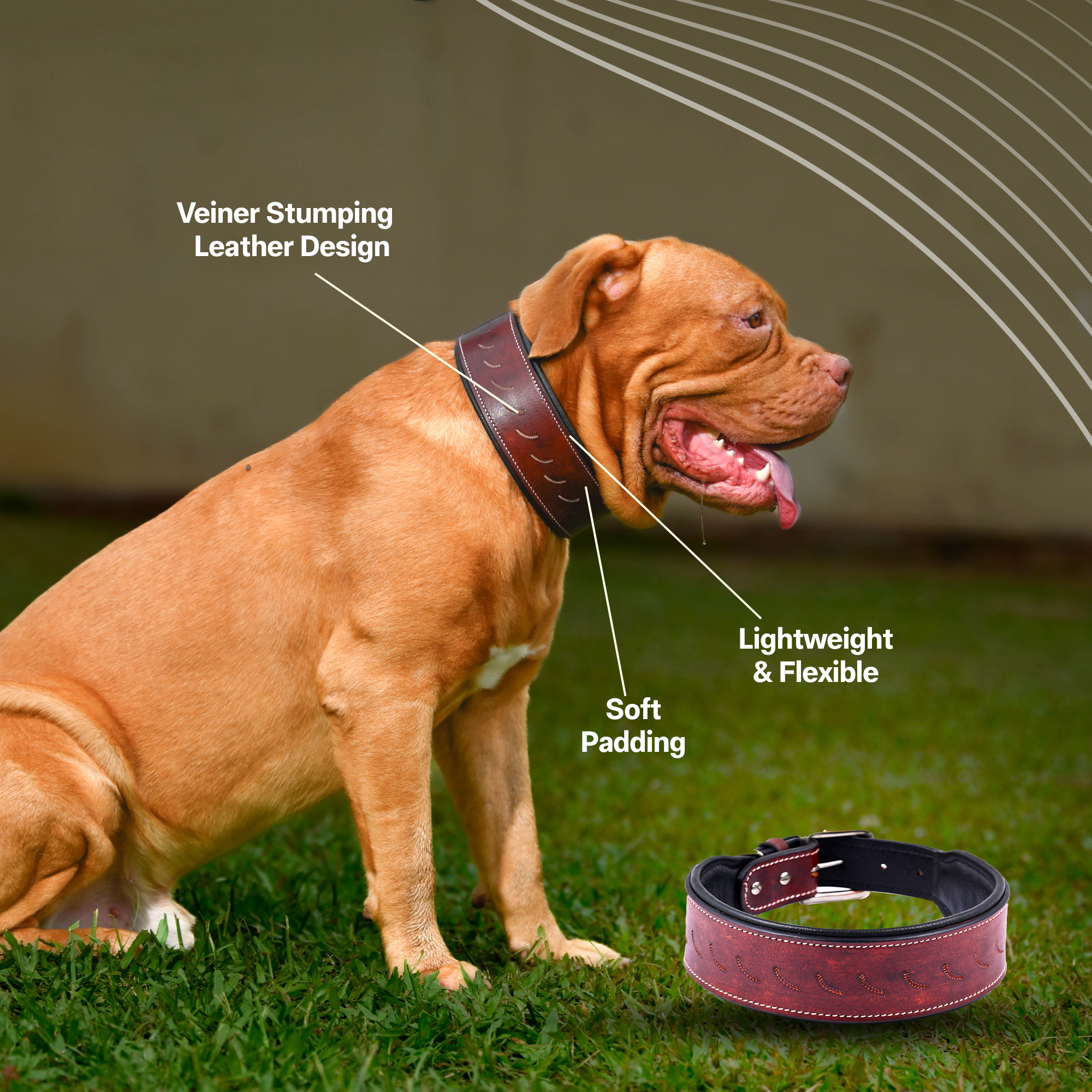 Adil's Leather Veiner Stumping Dog Collar | Heavy Duty Genuine Leather, Adjustable, 2.25 Inch Wide for Large Breeds